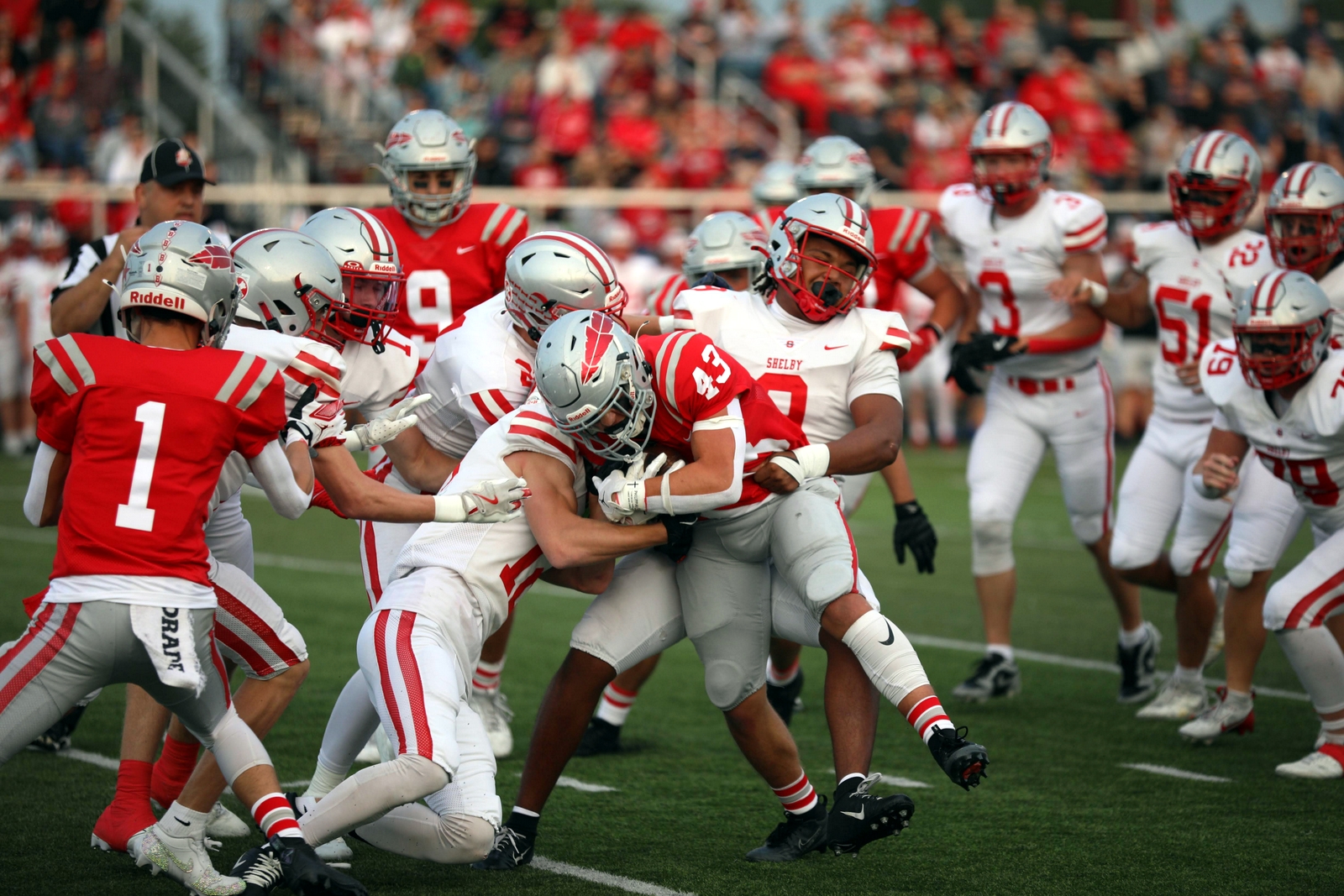 2025-bdeck-vfbshelby-0179