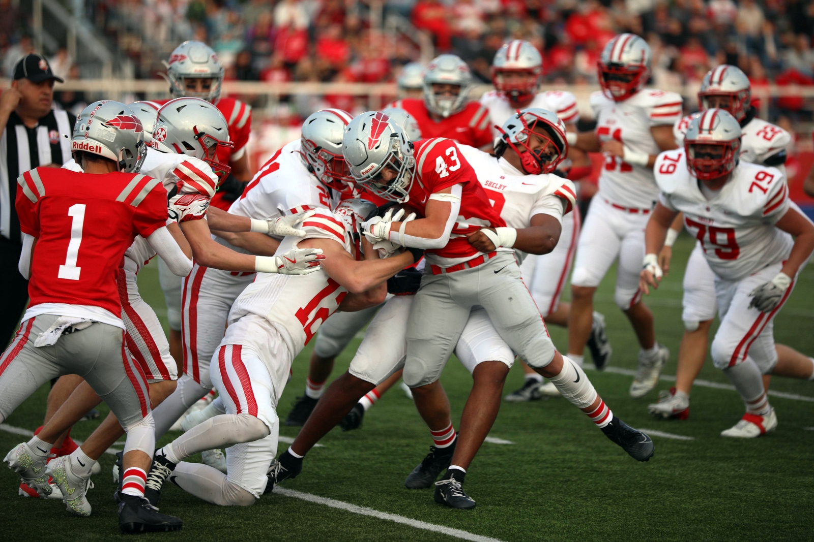 2025-bdeck-vfbshelby-0180