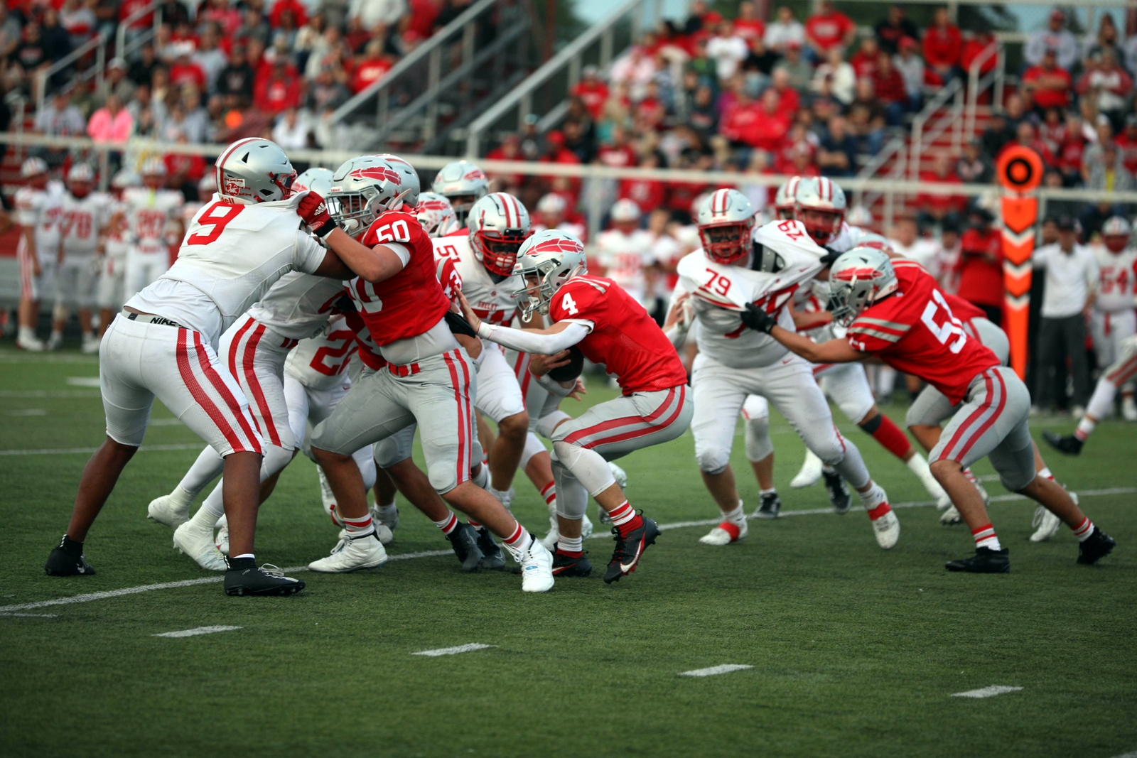 2025-bdeck-vfbshelby-0313