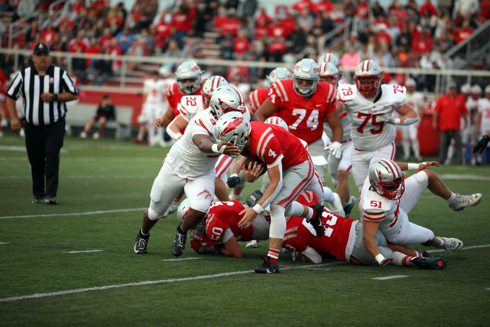 2025-bdeck-vfbshelby-0316