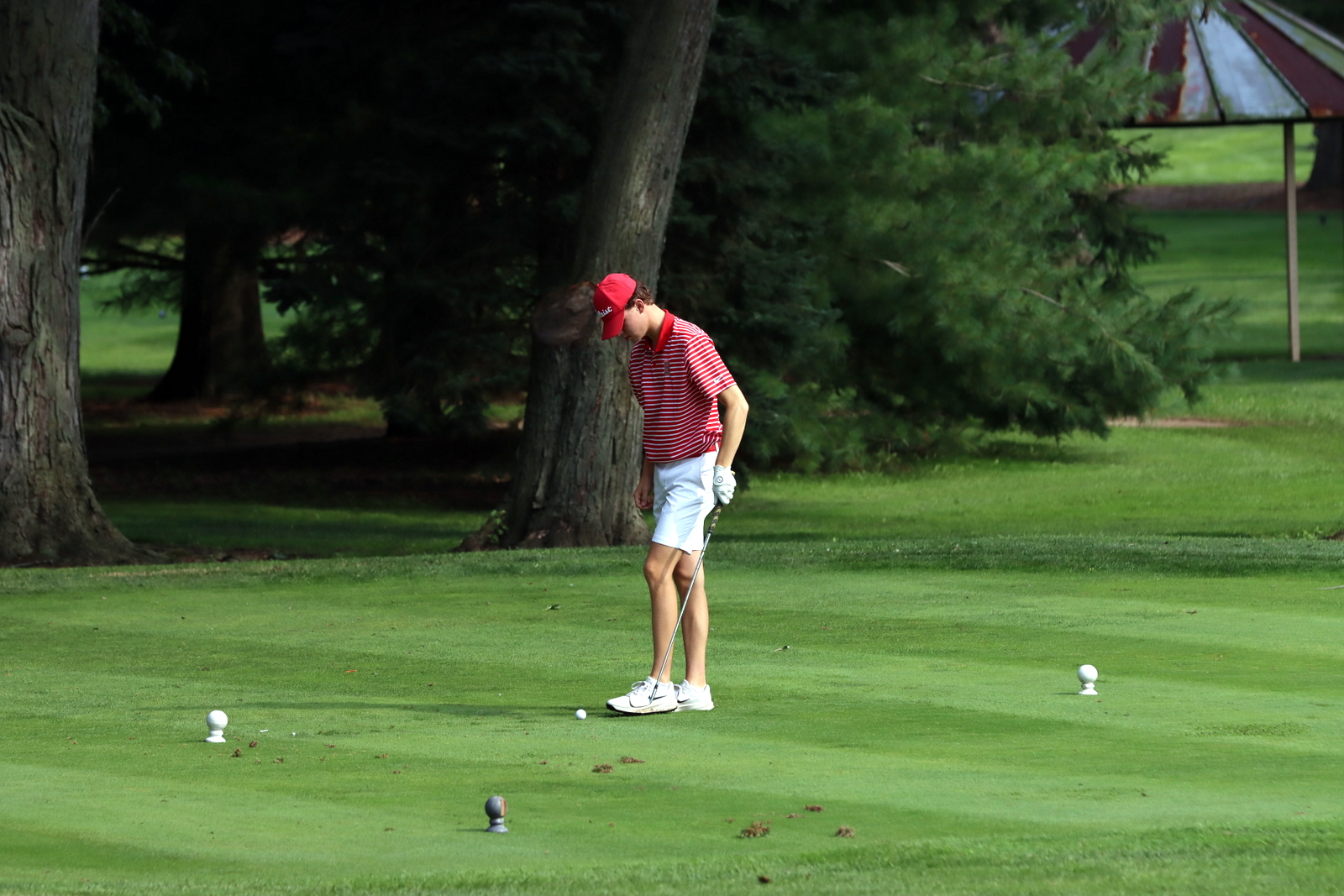 2025-bgolfhohenstein- 0074