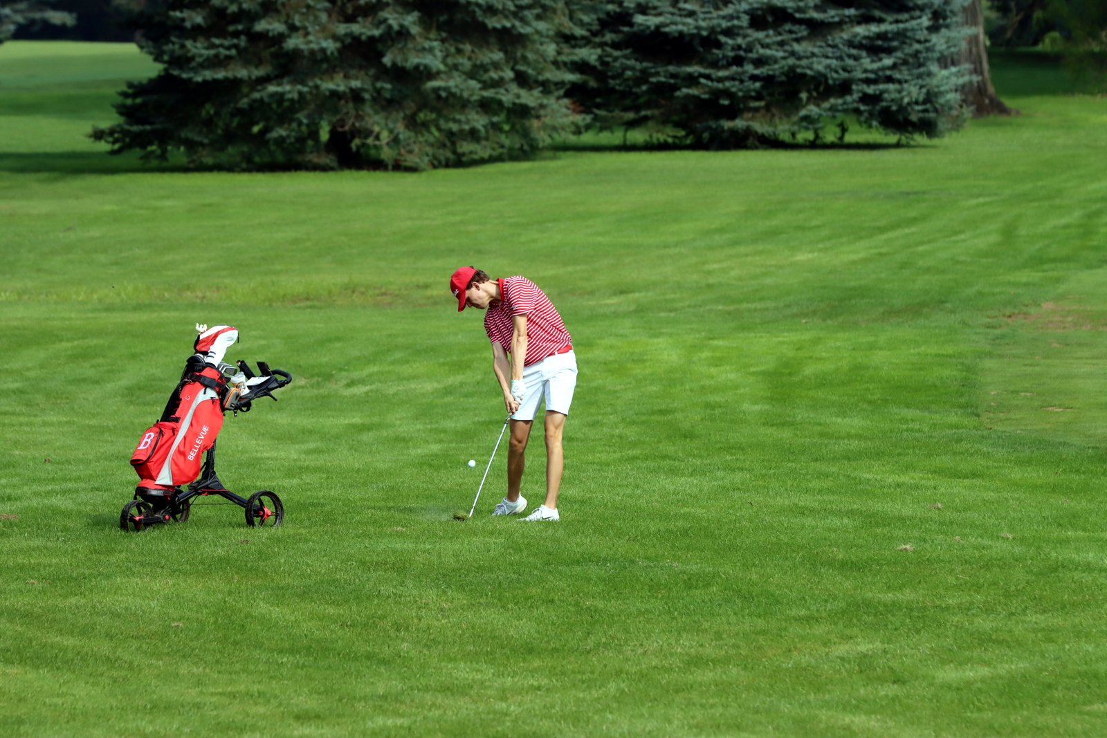 2025-bgolfhohenstein- 0156