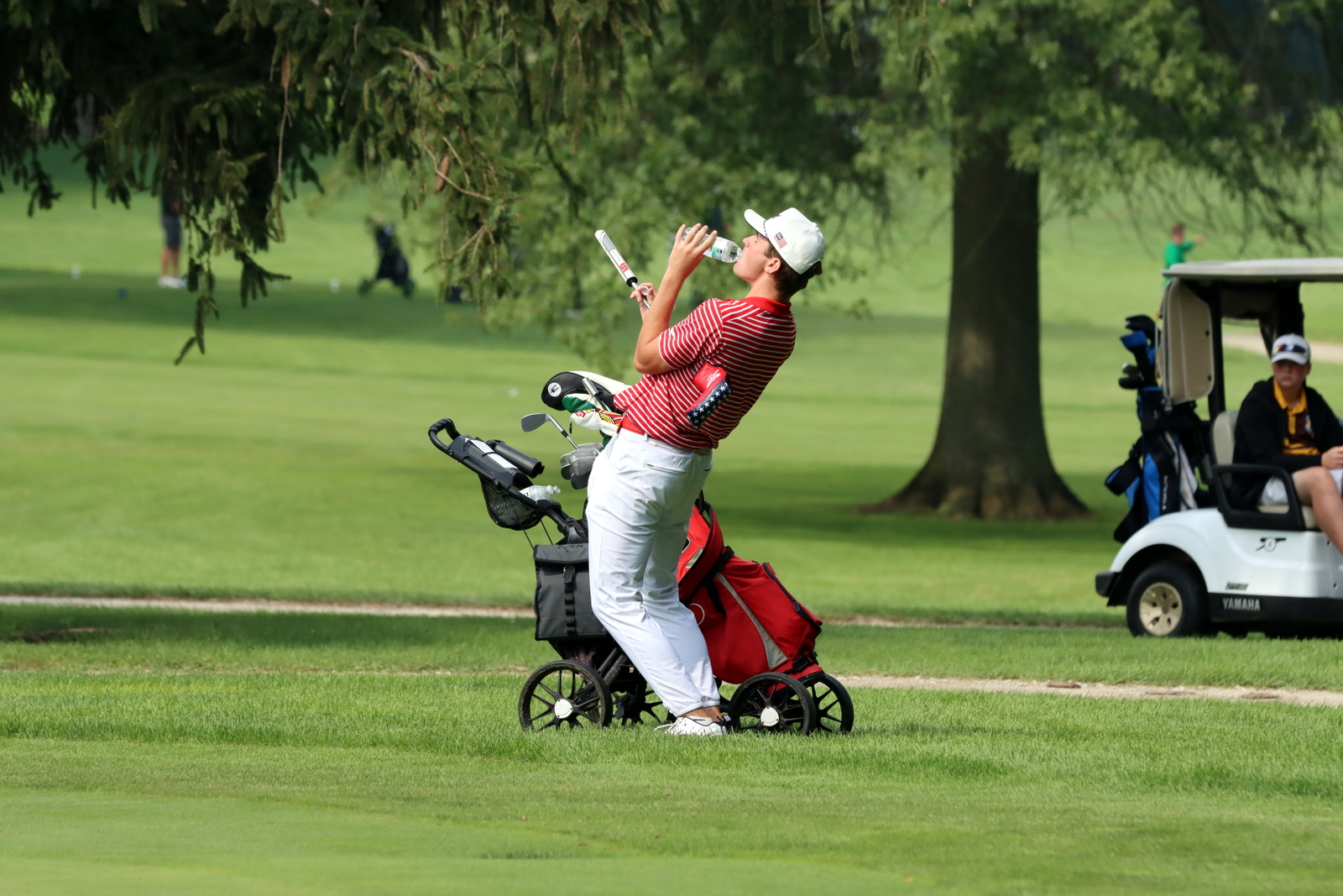 2025-bgolfhohenstein- 0482