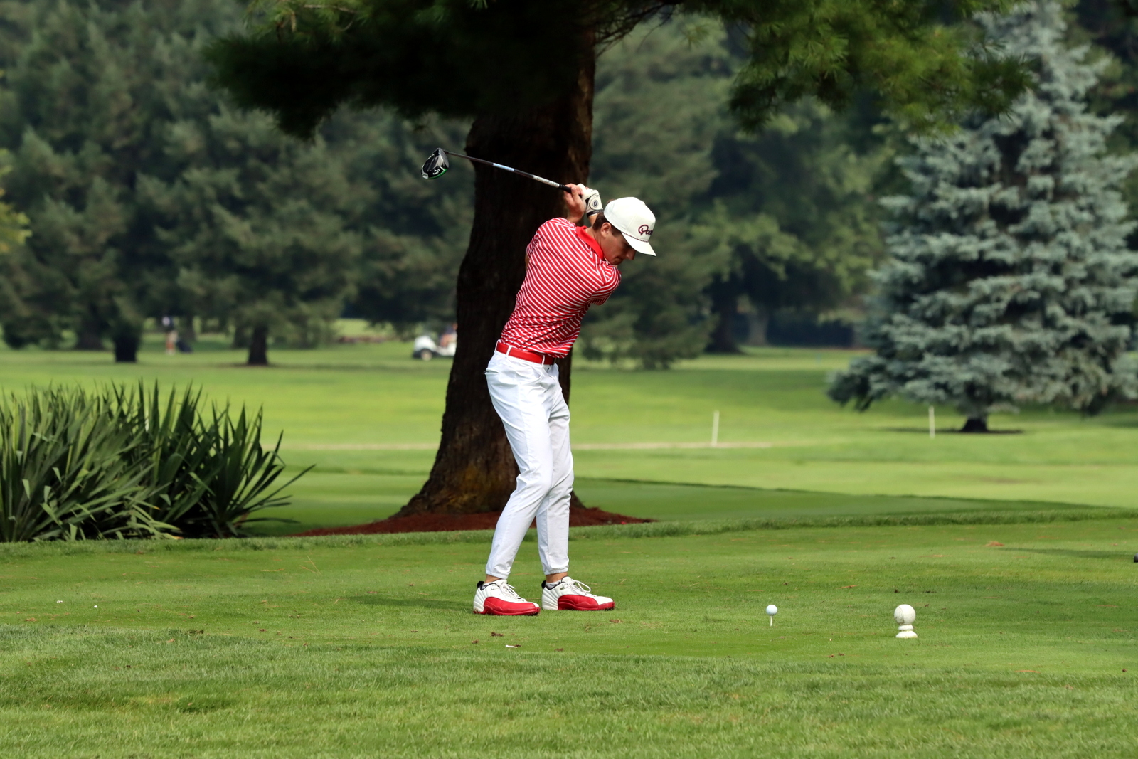 2025-bgolfhohenstein- 0533