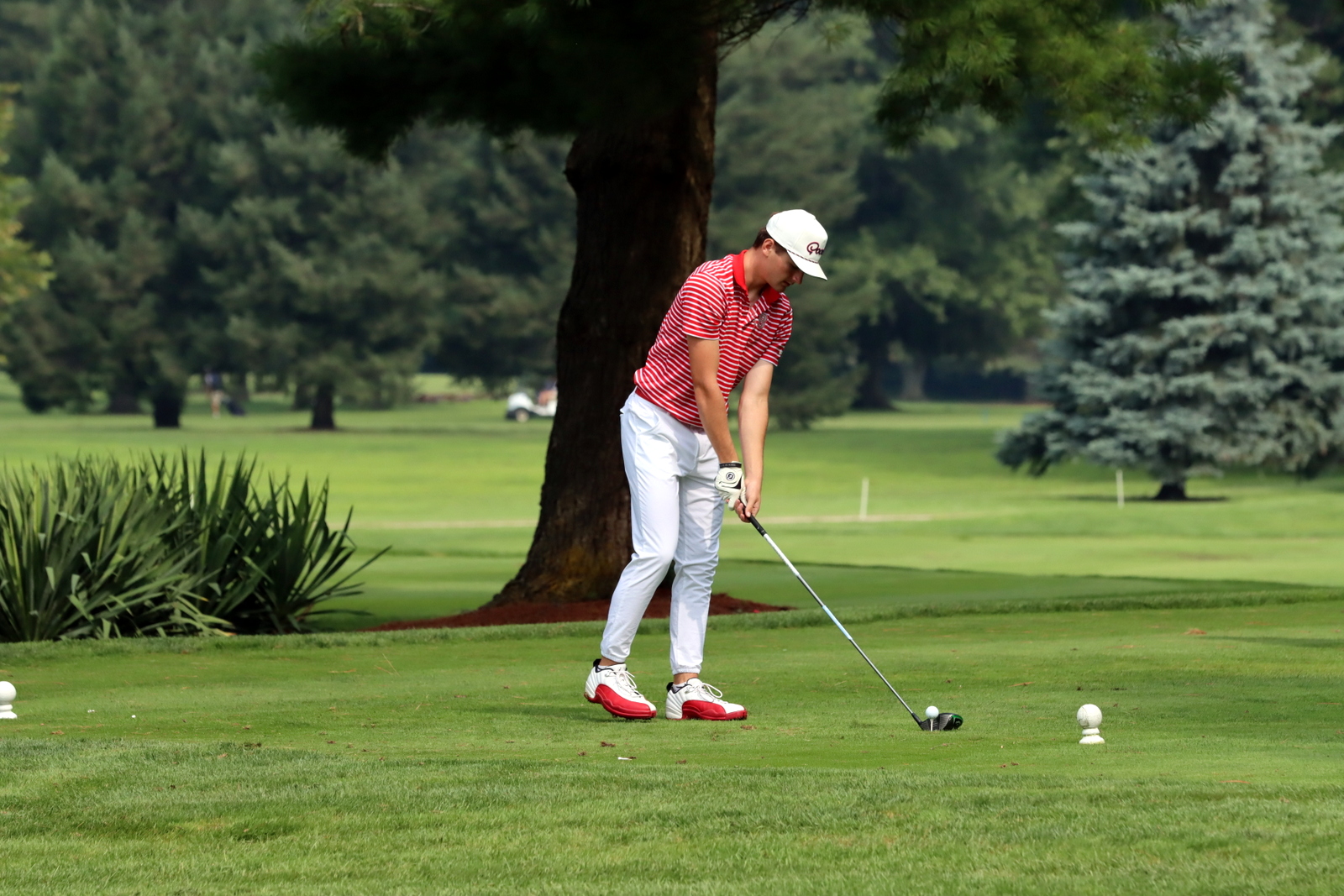 2025-bgolfhohenstein- 0535