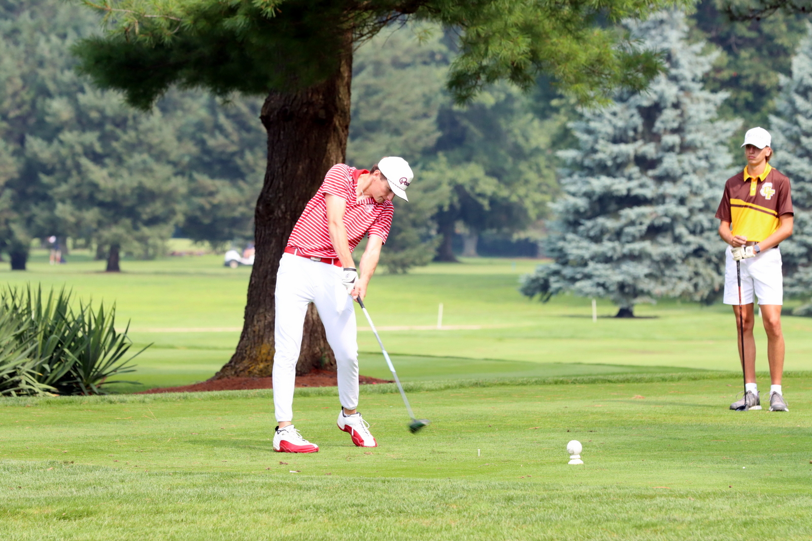 2025-bgolfhohenstein- 0540