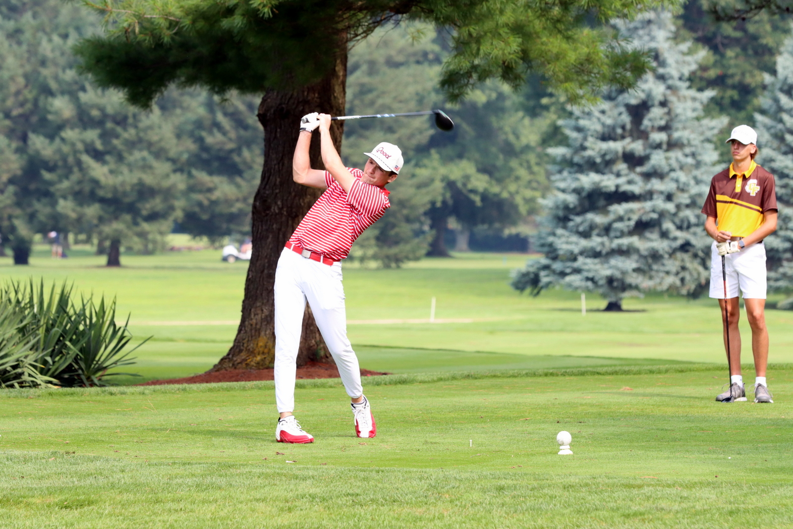 2025-bgolfhohenstein- 0542