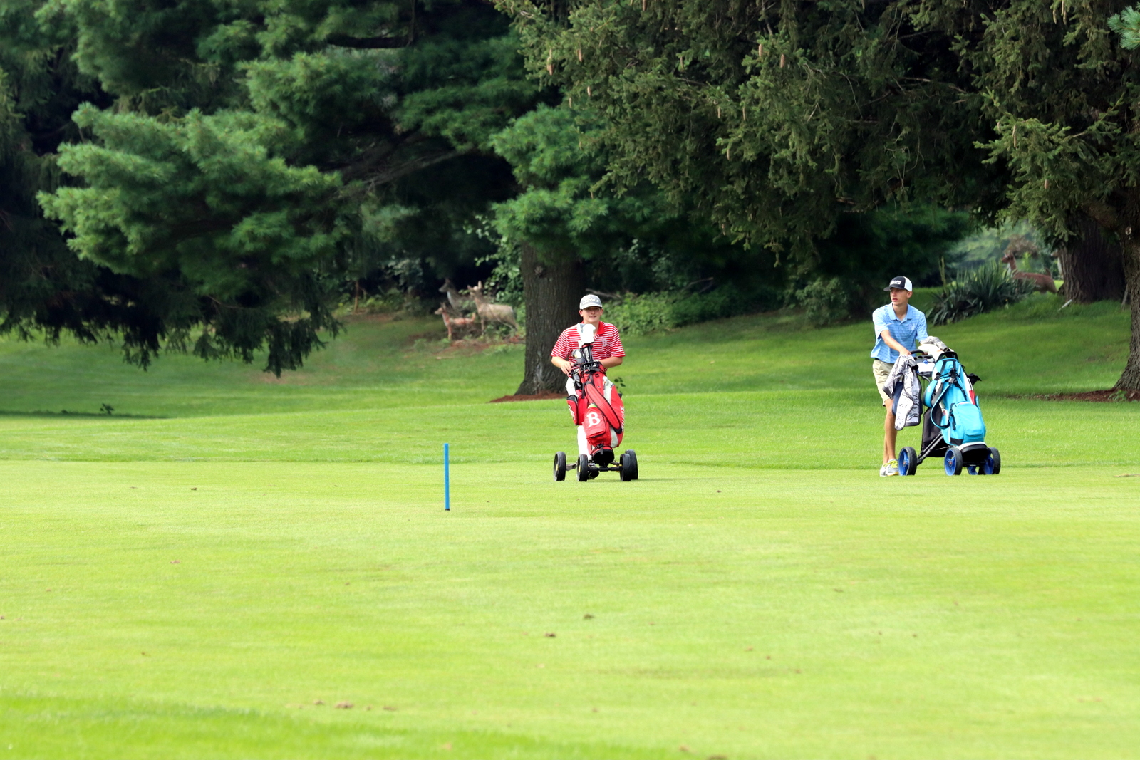 2025-bgolfhohenstein- 0682