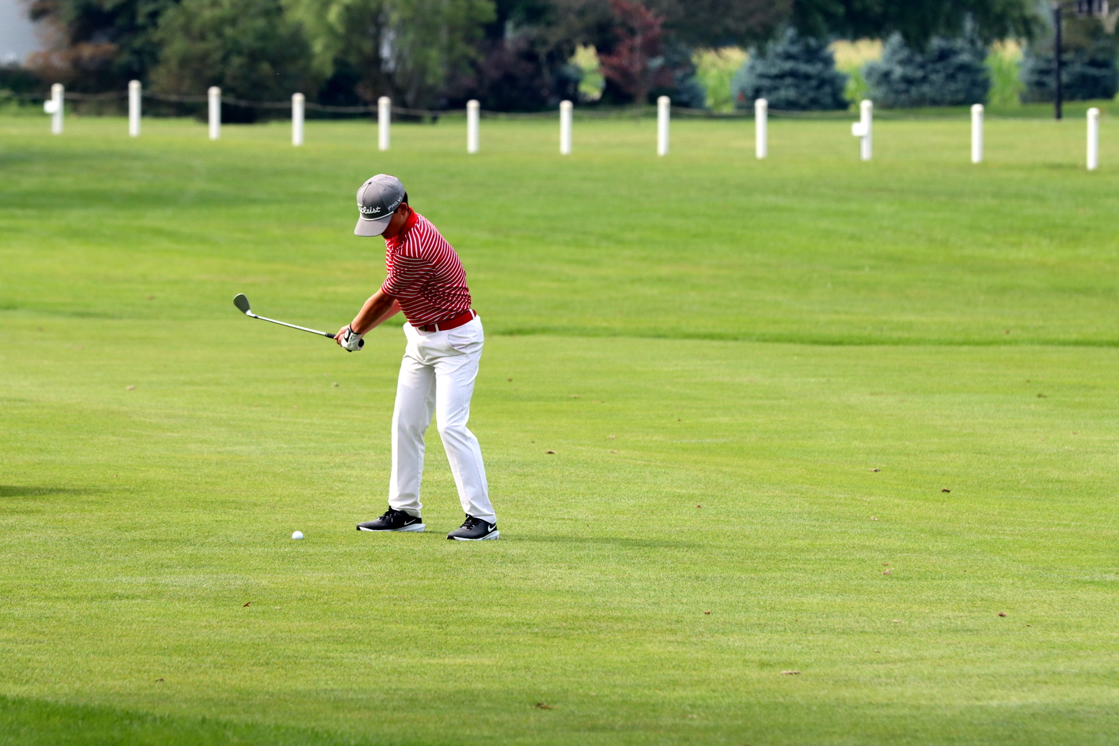 2025-bgolfhohenstein- 0751