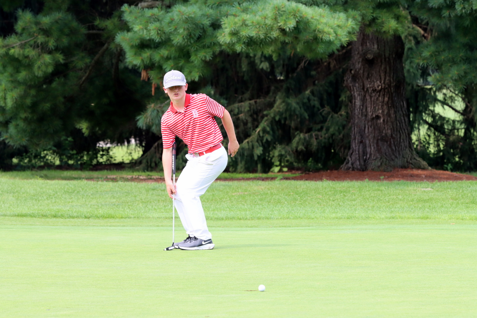 2025-bgolfhohenstein- 0815