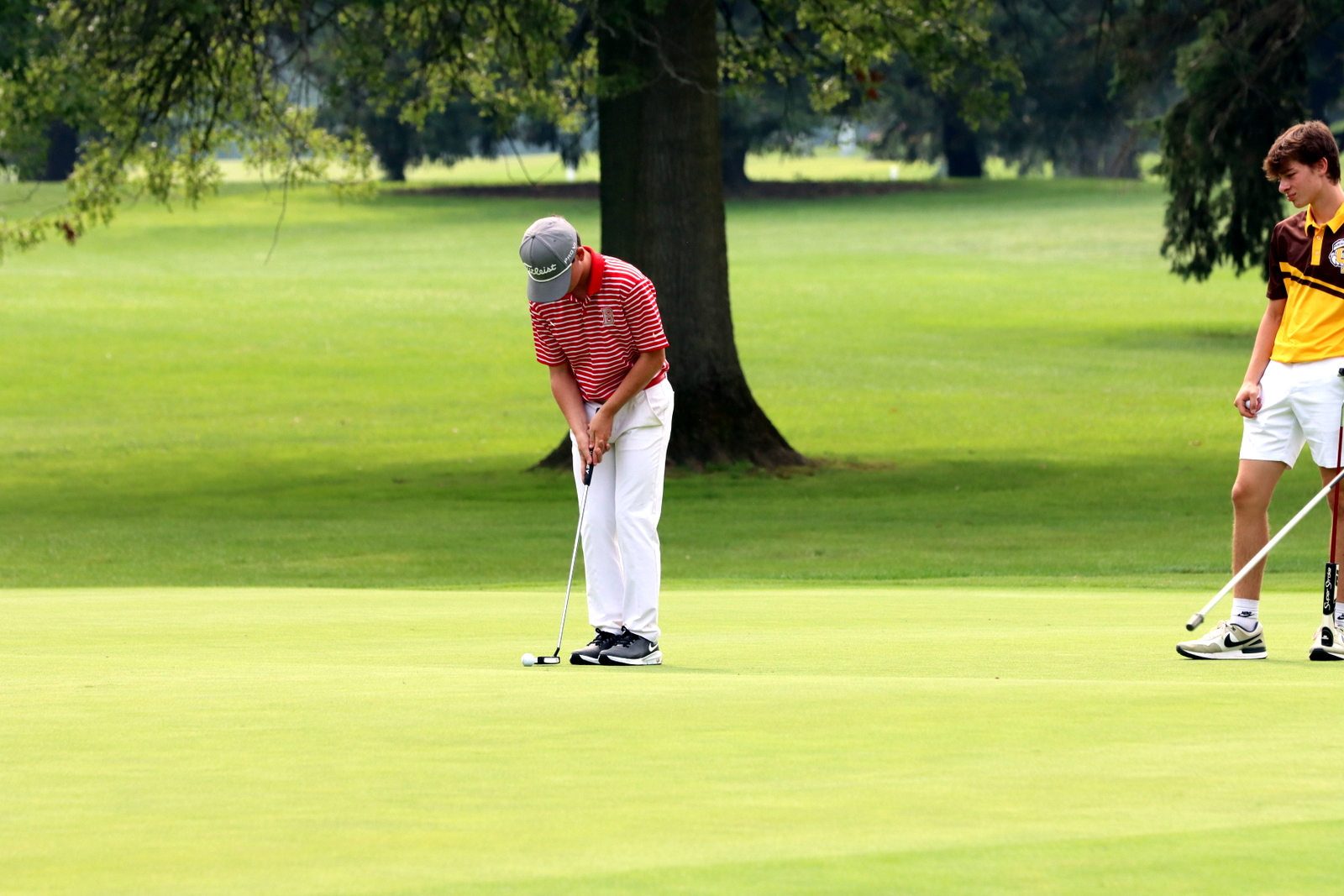 2025-bgolfhohenstein- 0818