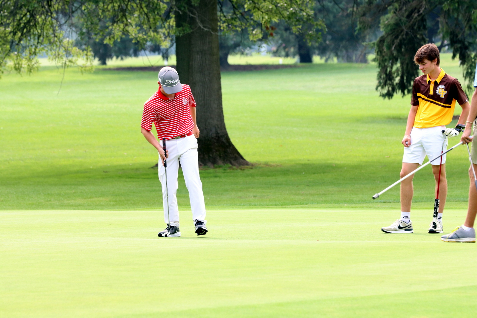 2025-bgolfhohenstein- 0837