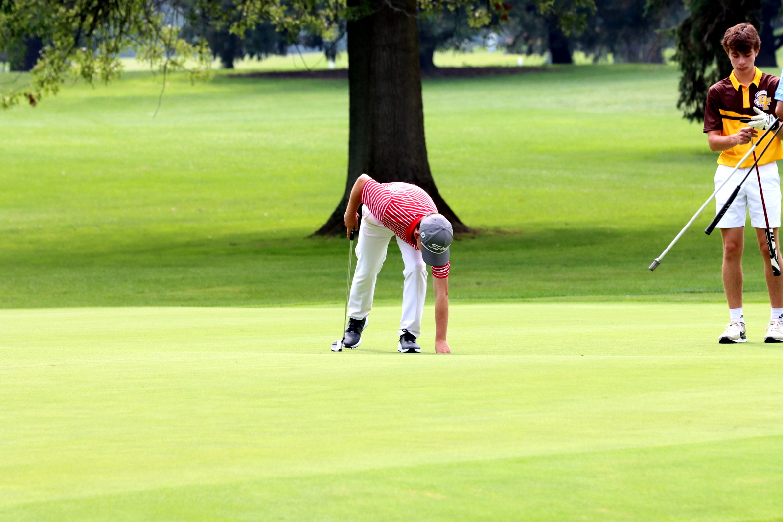 2025-bgolfhohenstein- 0844