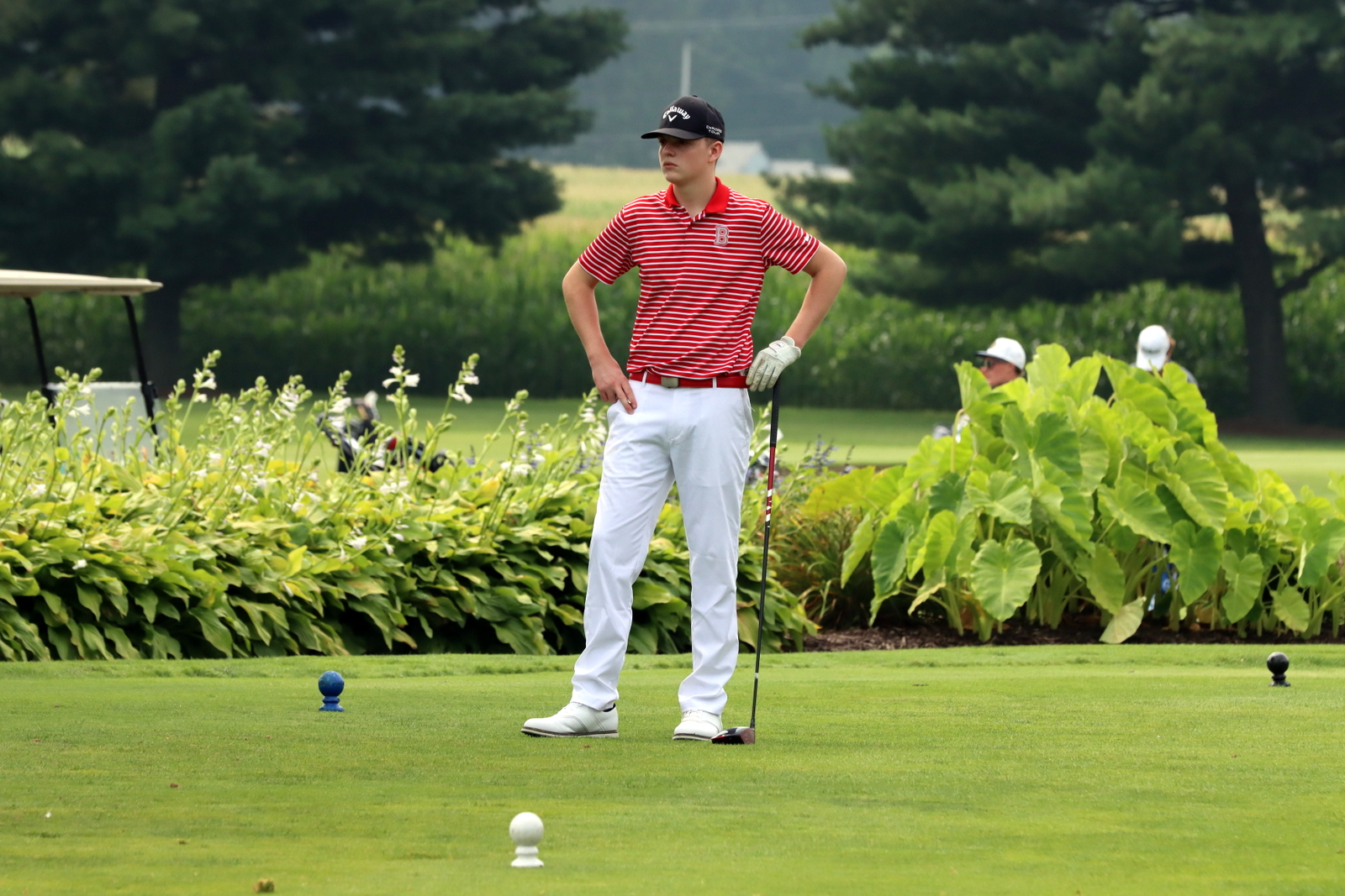 2025-bgolfhohenstein- 0888