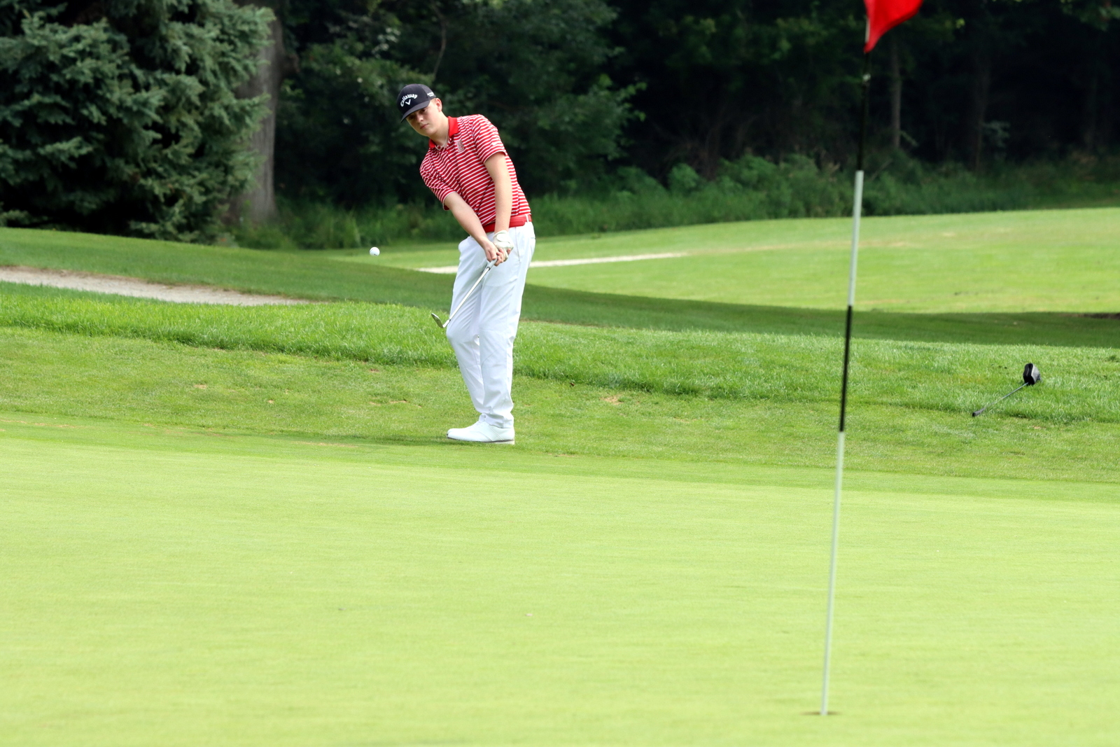 2025-bgolfhohenstein- 1060