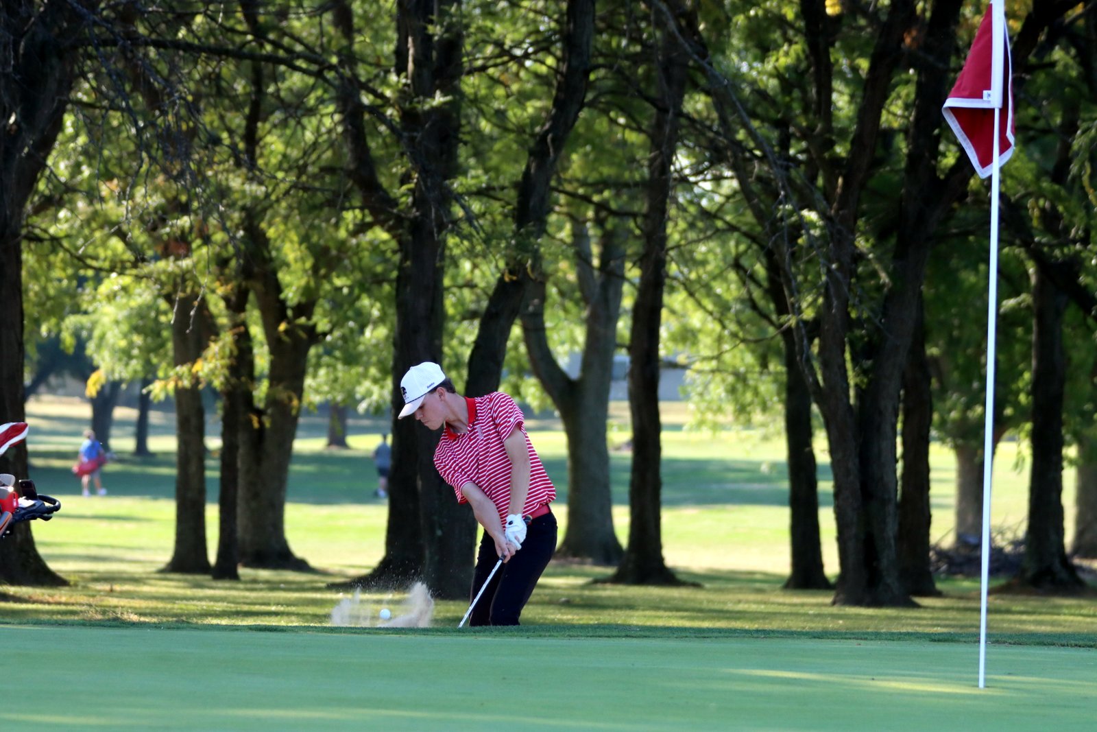 2025-bgolfvermilionstpeter-0199