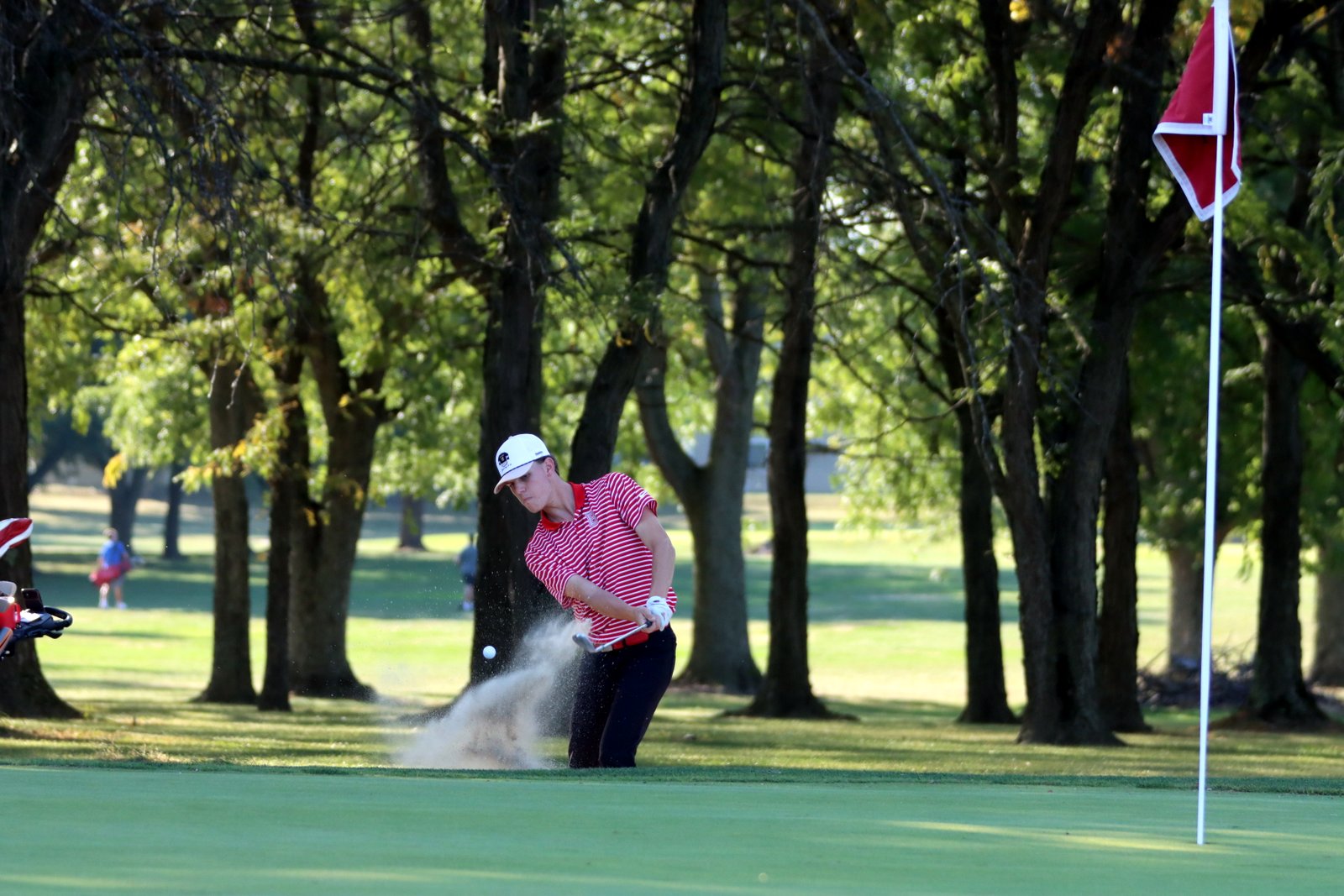 2025-bgolfvermilionstpeter-0200