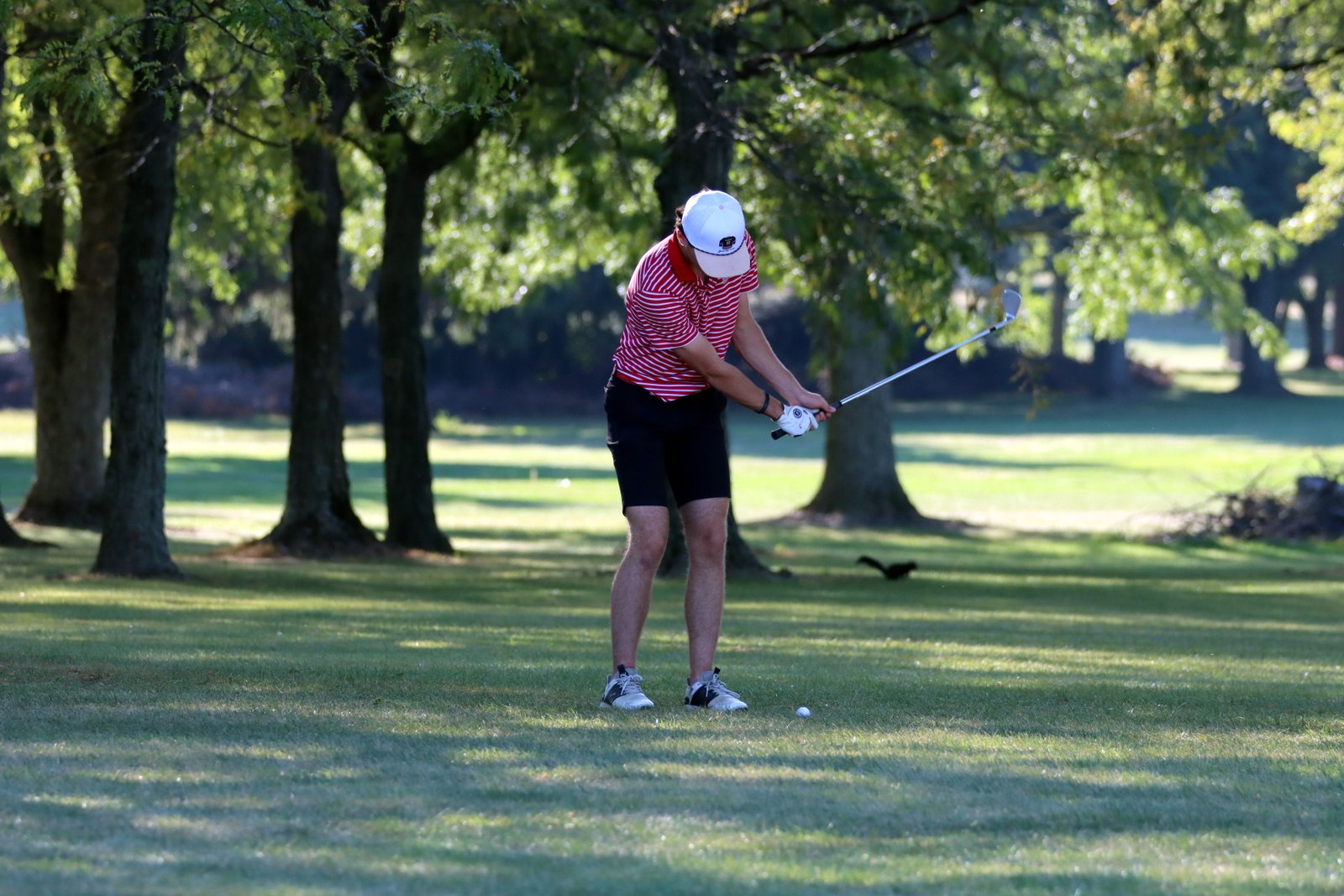 2025-bgolfvermilionstpeter-0271