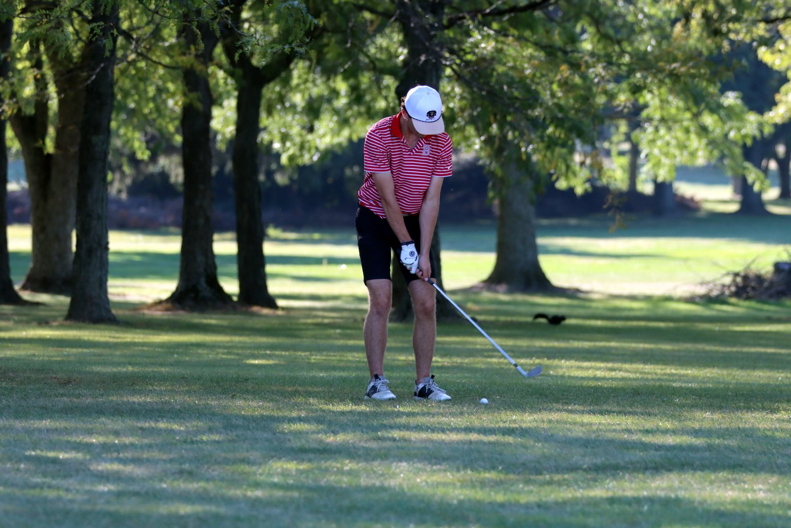 2025-bgolfvermilionstpeter-0275