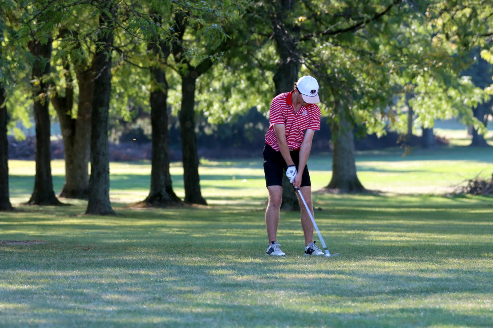 2025-bgolfvermilionstpeter-0283