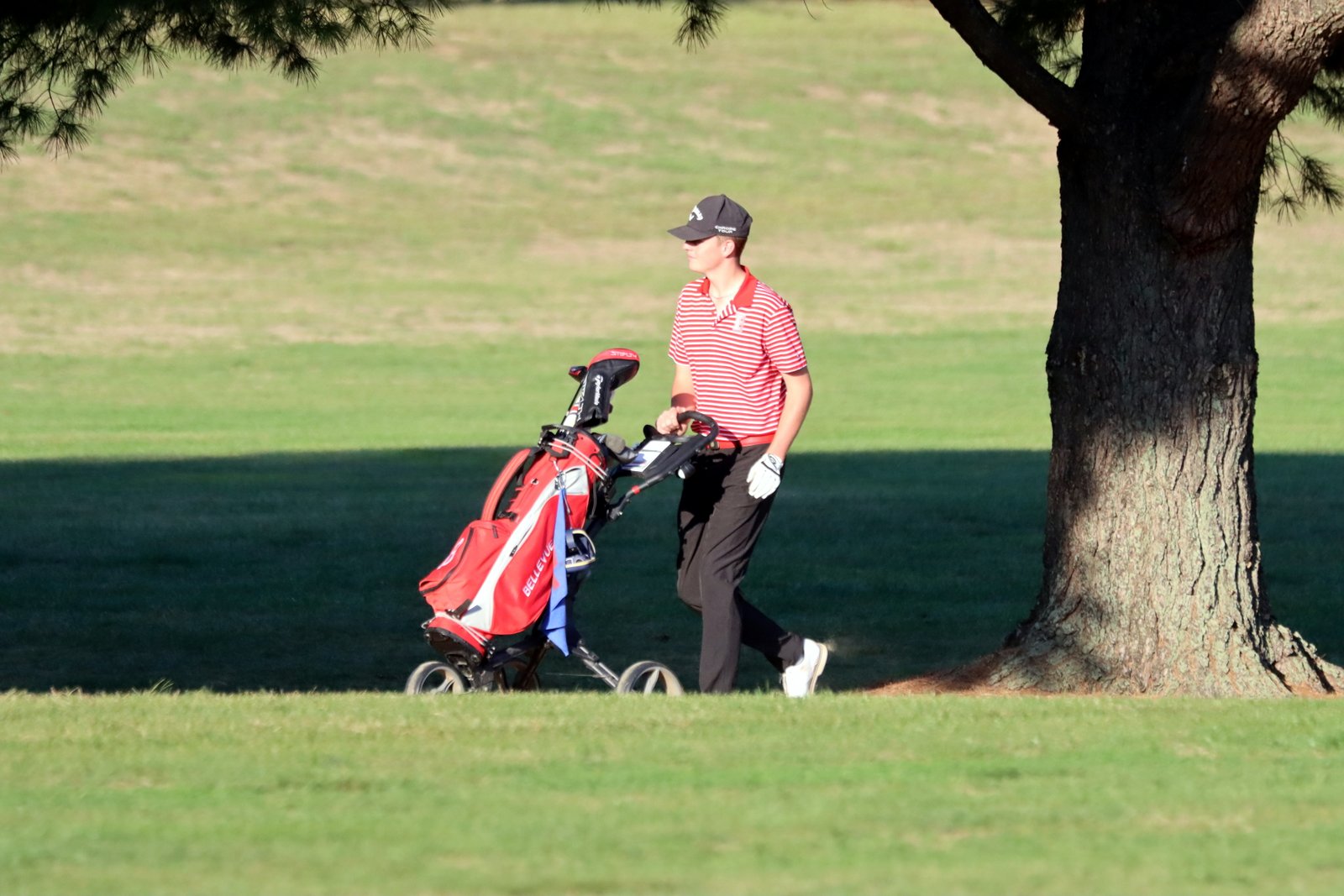 2025-bgolfvermilionstpeter-0679