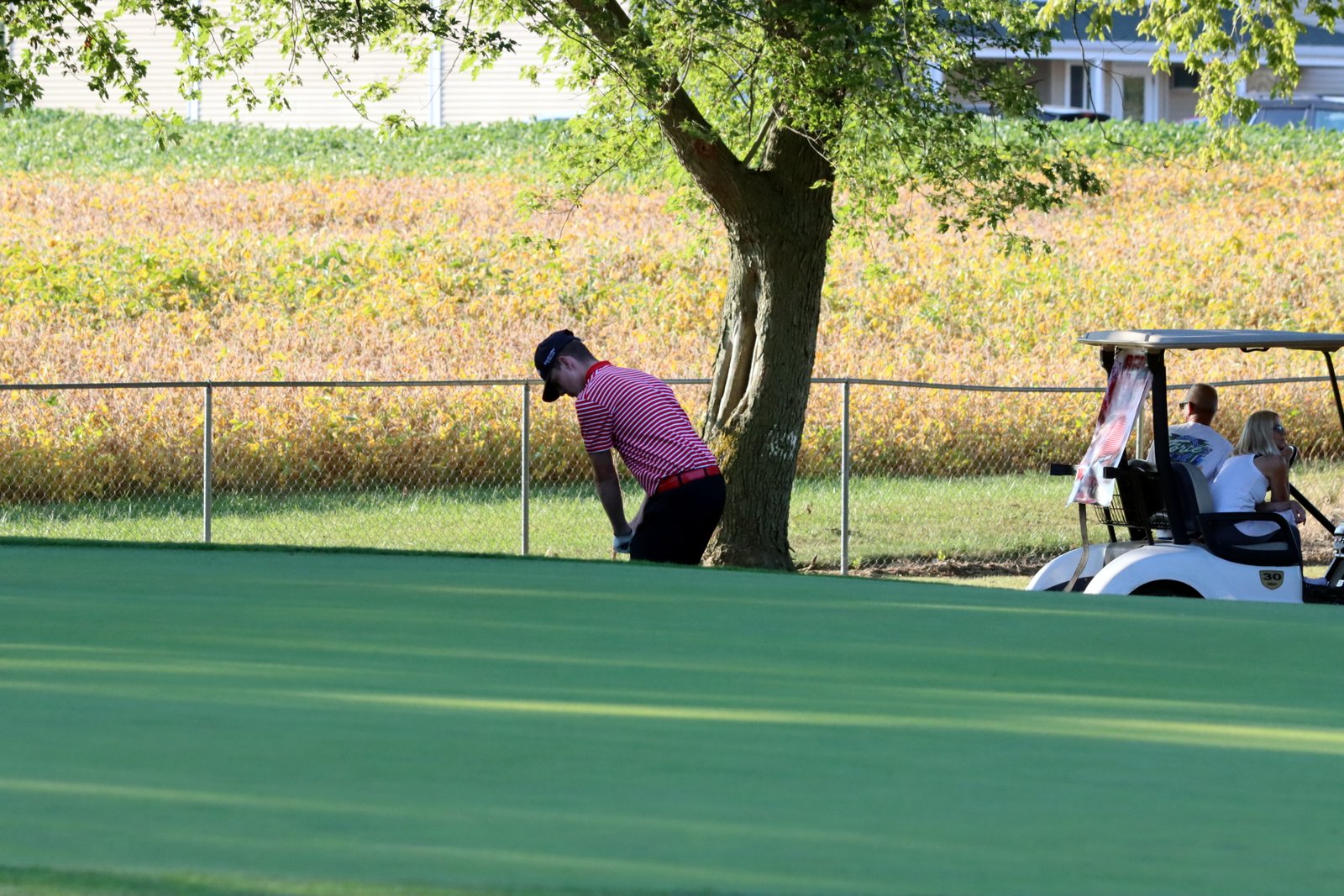 2025-bgolfvermilionstpeter-0738