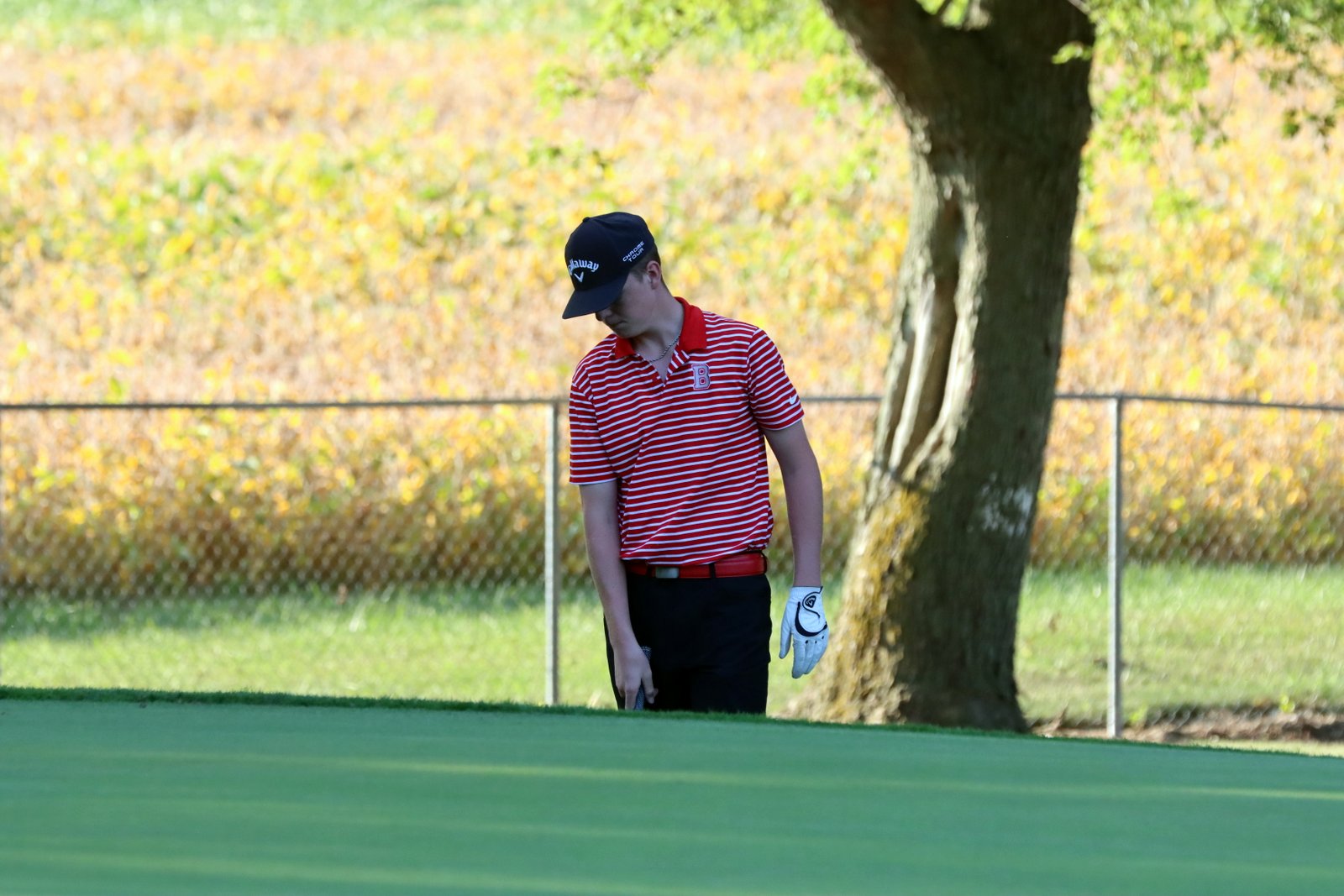 2025-bgolfvermilionstpeter-0748