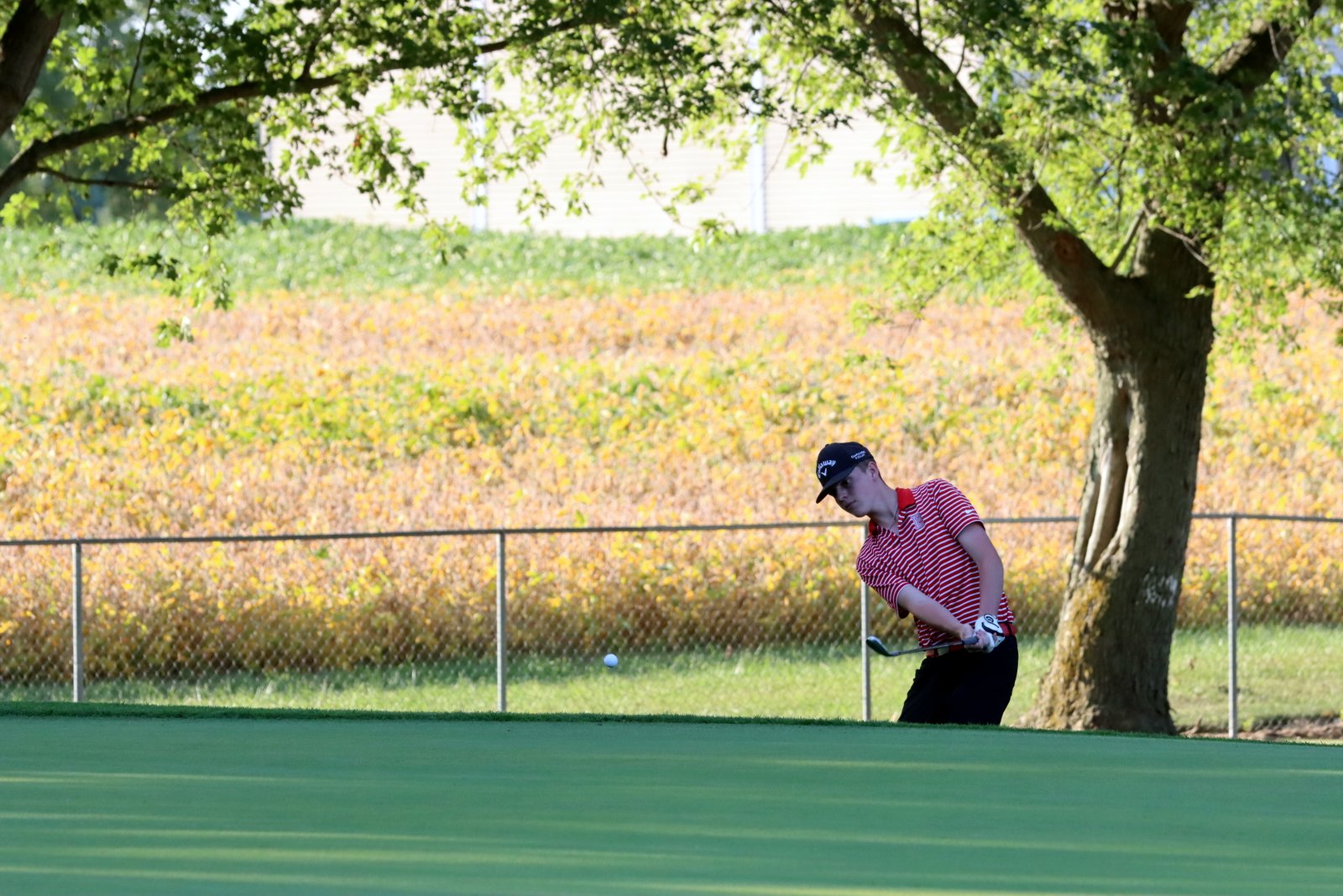 2025-bgolfvermilionstpeter-0755