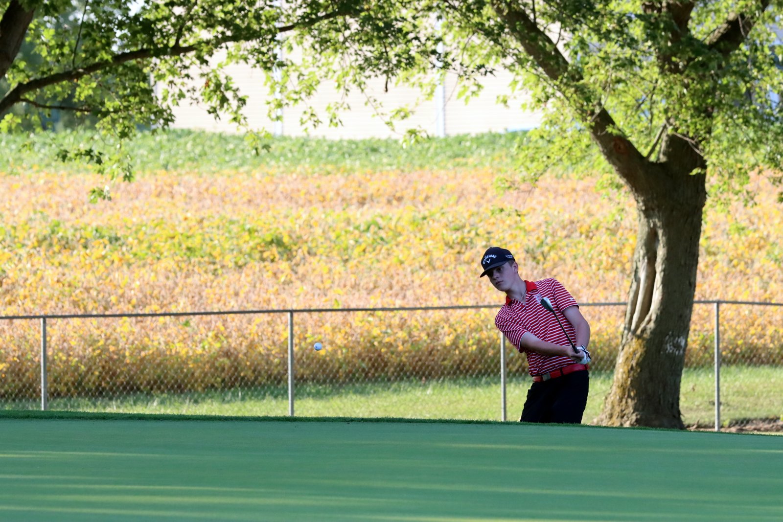 2025-bgolfvermilionstpeter-0756