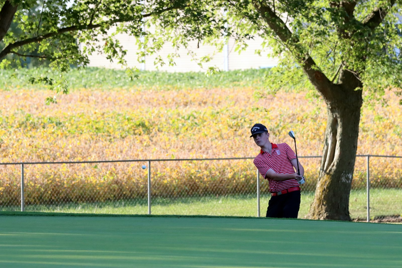 2025-bgolfvermilionstpeter-0757