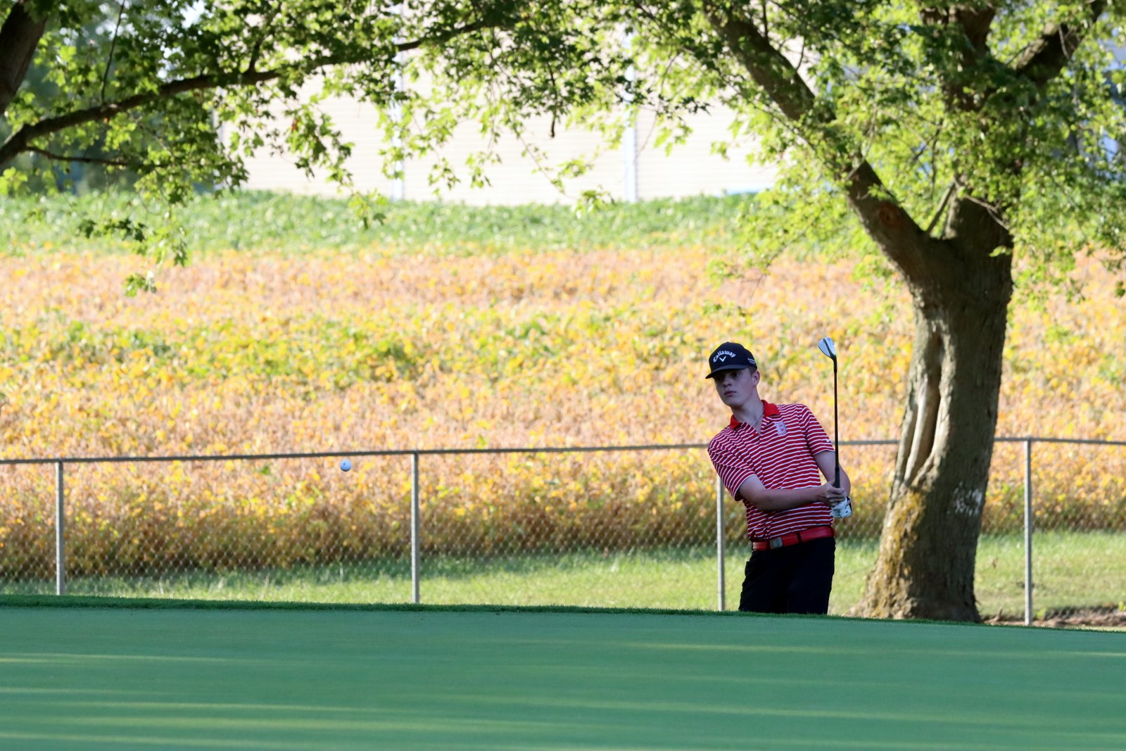 2025-bgolfvermilionstpeter-0758