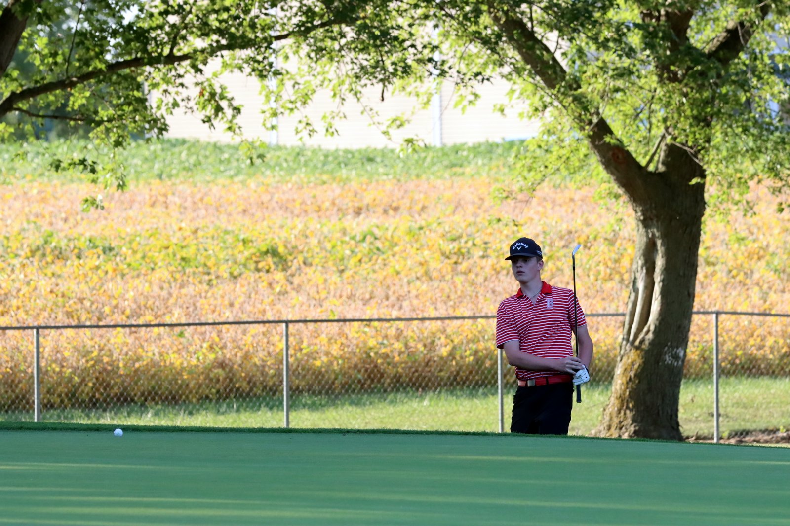 2025-bgolfvermilionstpeter-0761