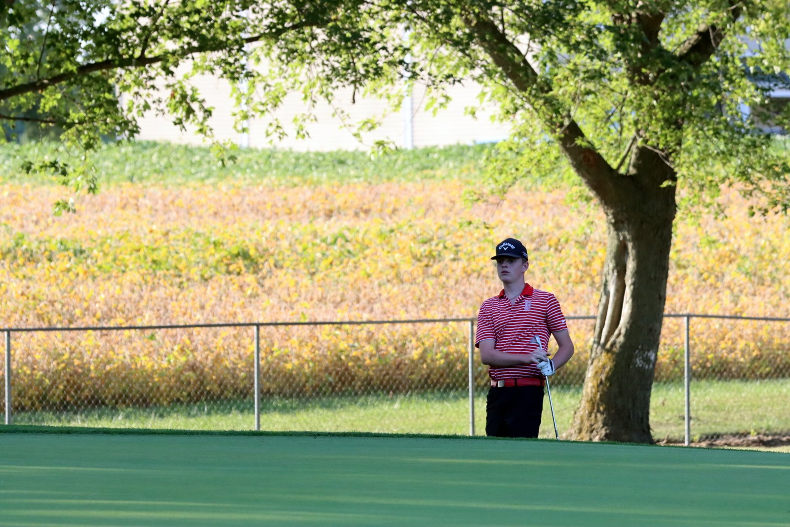 2025-bgolfvermilionstpeter-0765