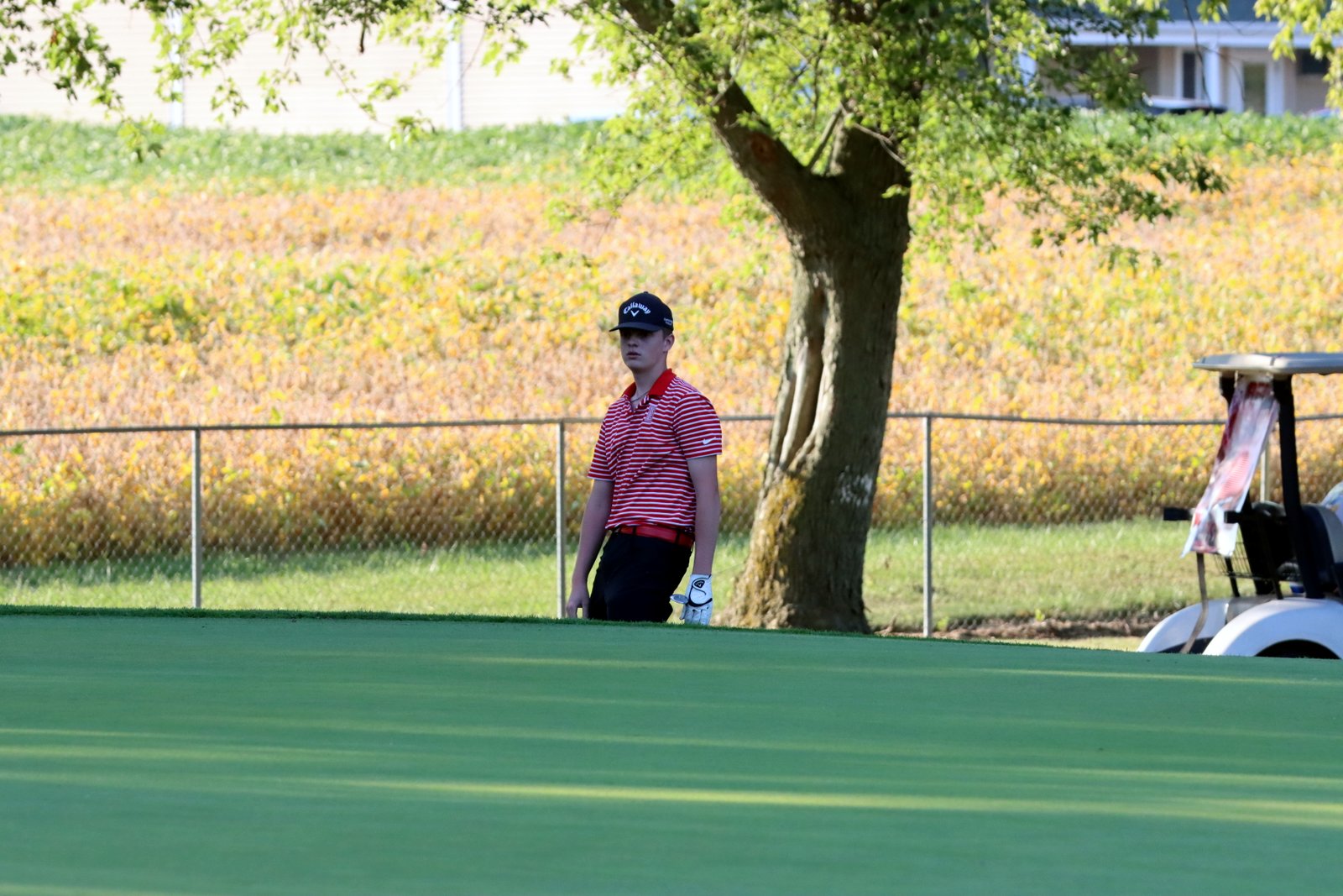 2025-bgolfvermilionstpeter-0771