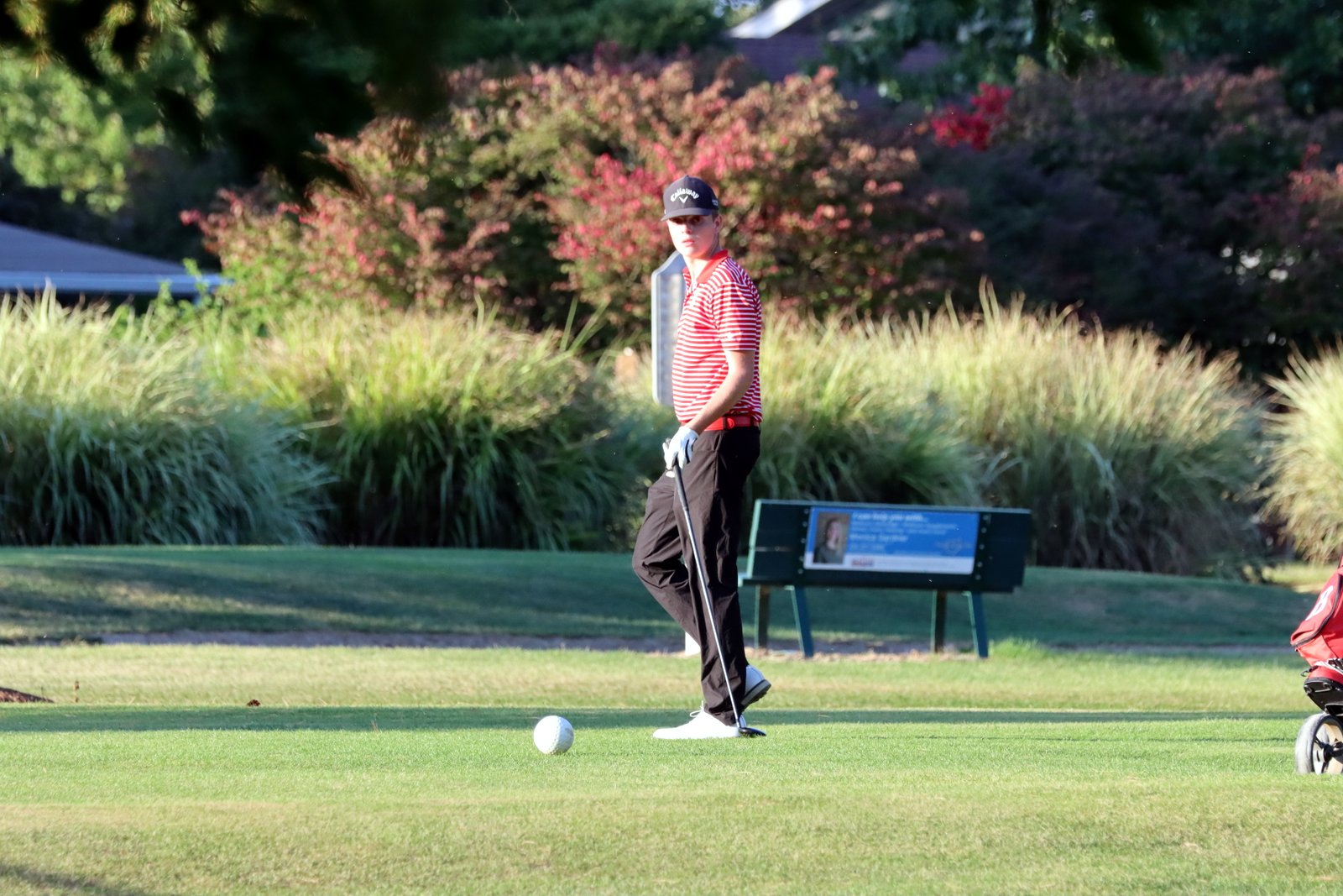 2025-bgolfvermilionstpeter-0821