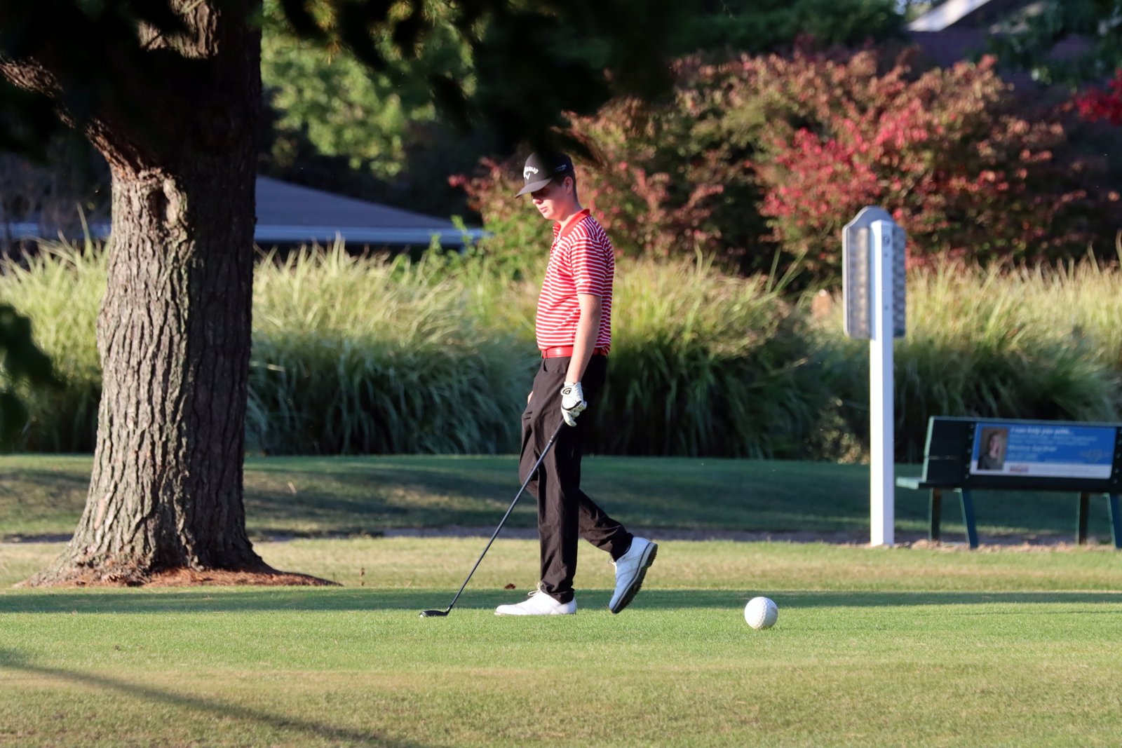 2025-bgolfvermilionstpeter-0824