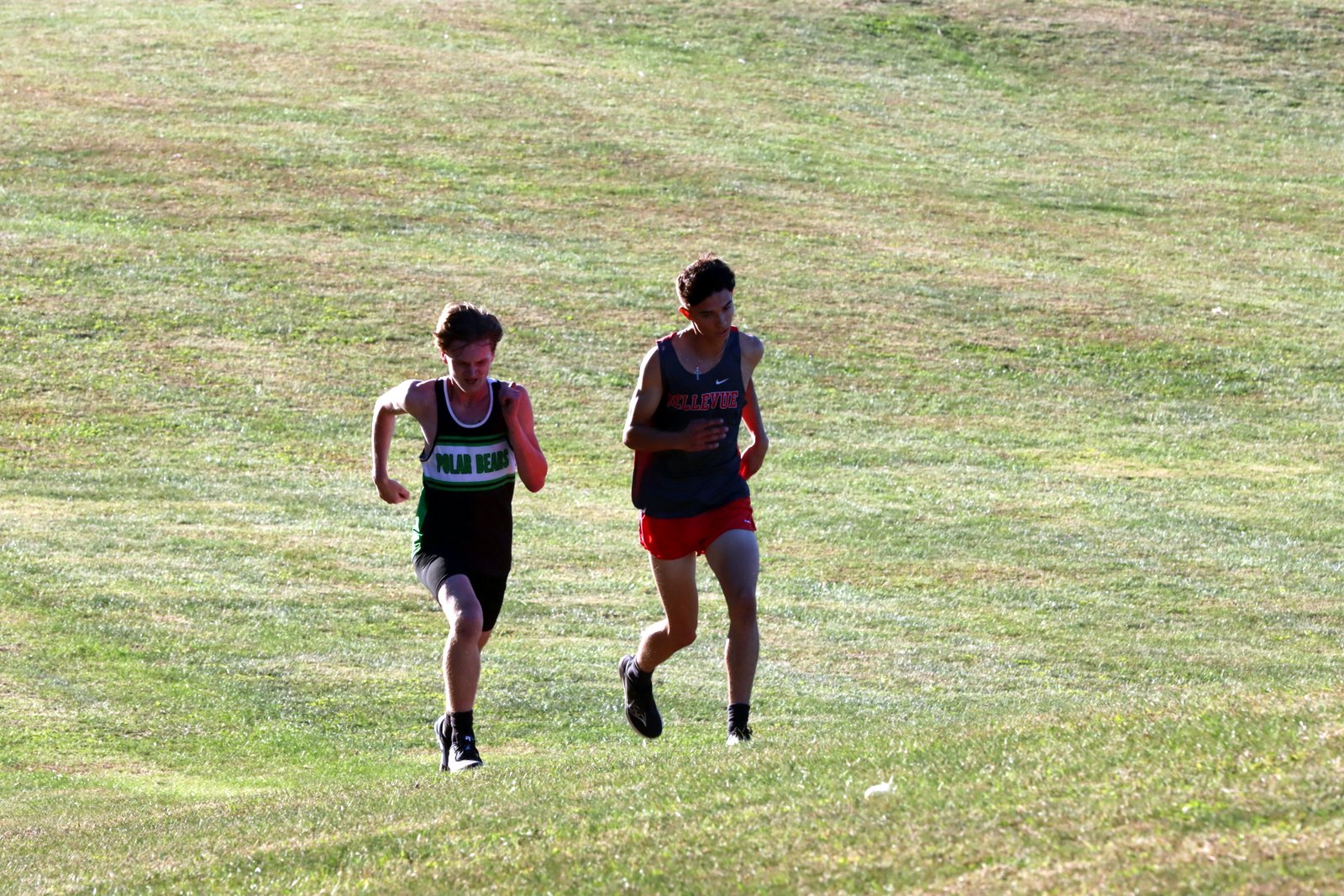 2025-ccmargsand-1936