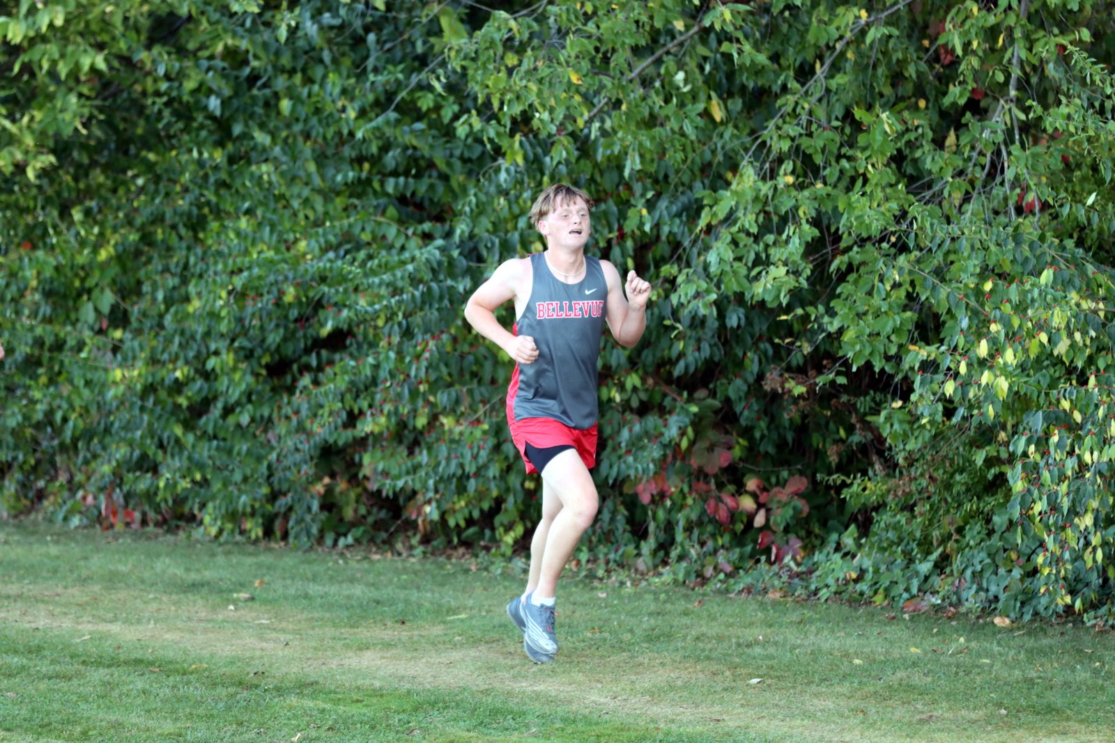 2025-ccmargsand-1964