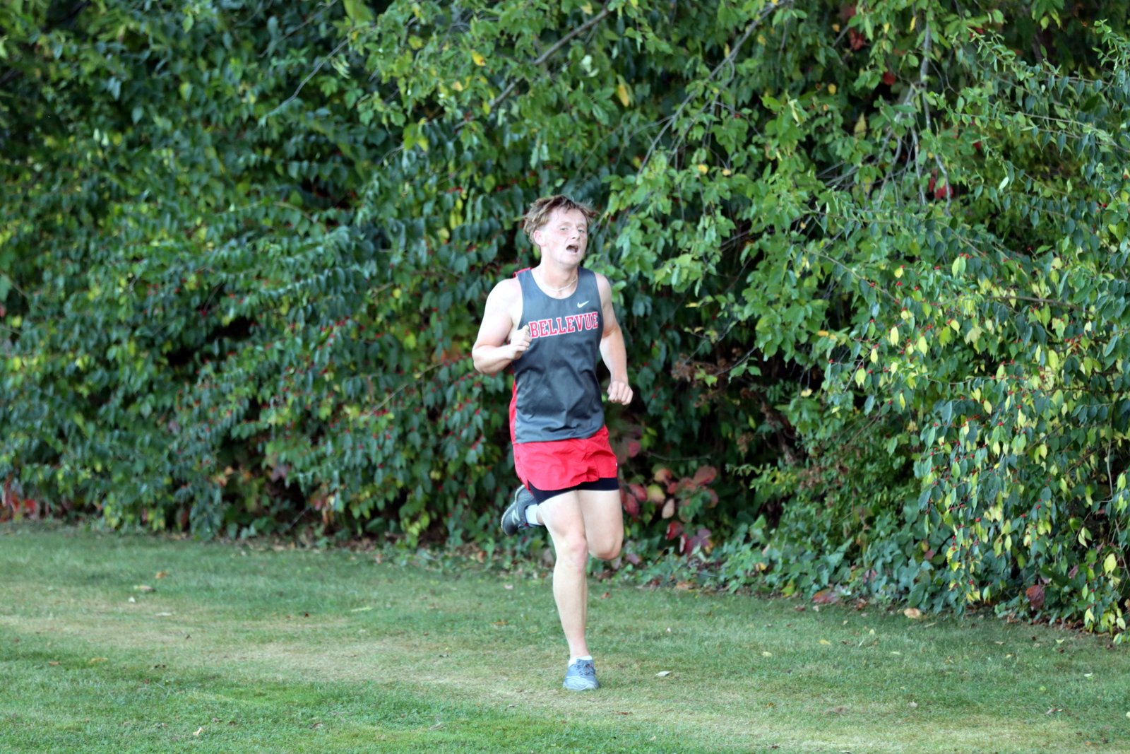 2025-ccmargsand-1966