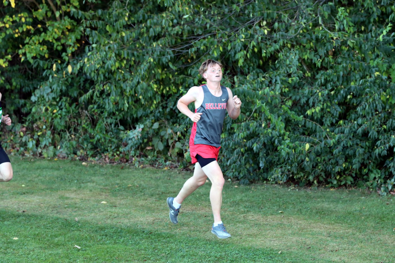 2025-ccmargsand-1988