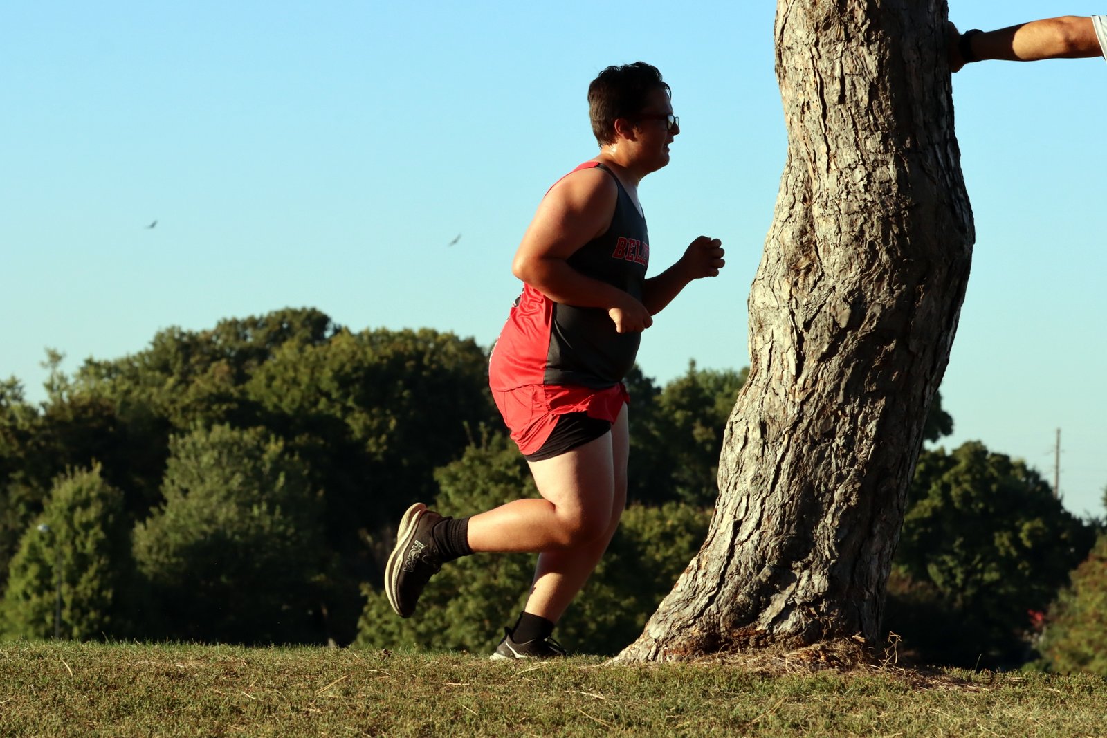 2025-ccmargsand-2278