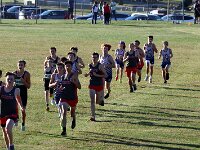 2025-ccmargsand-1772