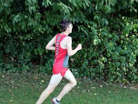 2025-ccmargsand-2084