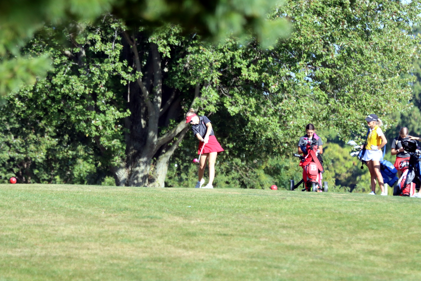 2025-ggolfclyde-0985