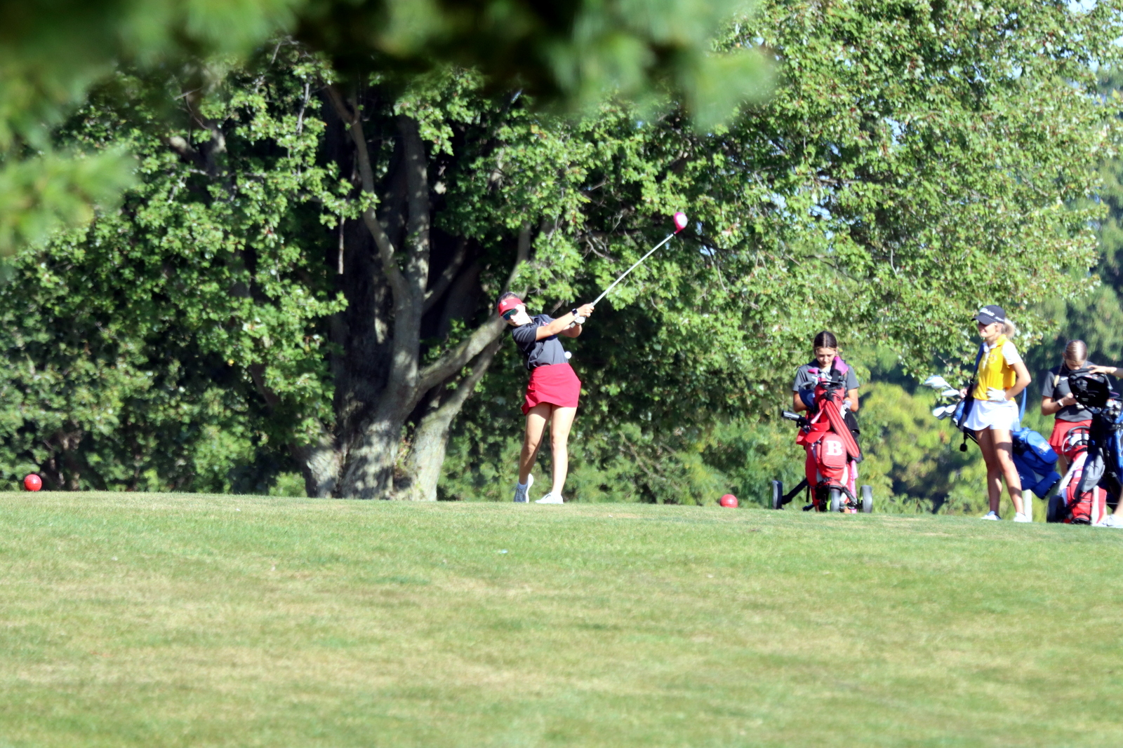 2025-ggolfclyde-0986