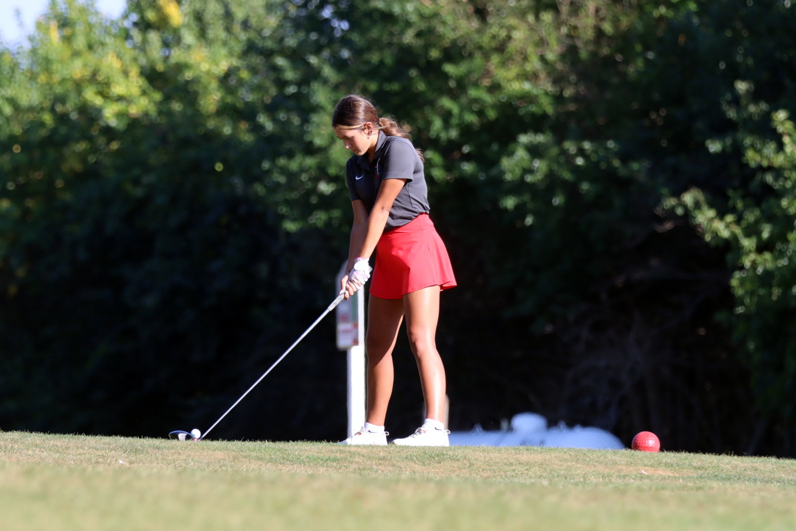 2025-ggolfclyde-1078