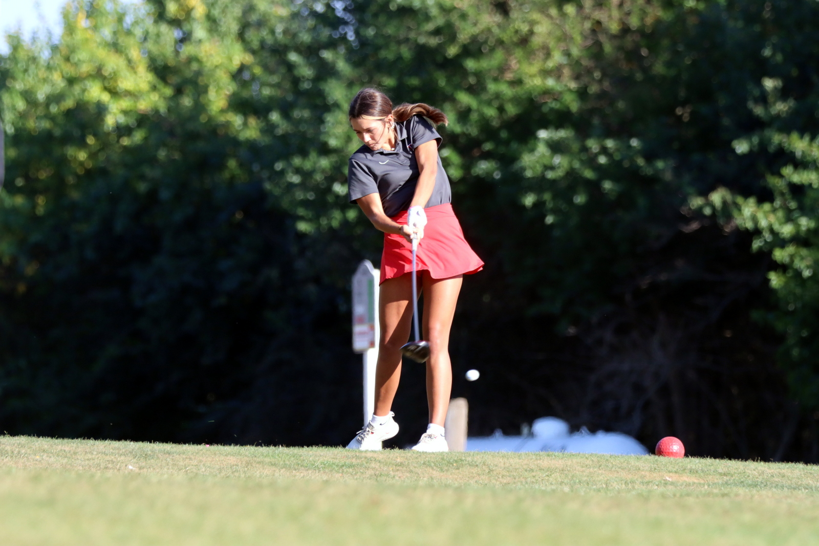 2025-ggolfclyde-1092