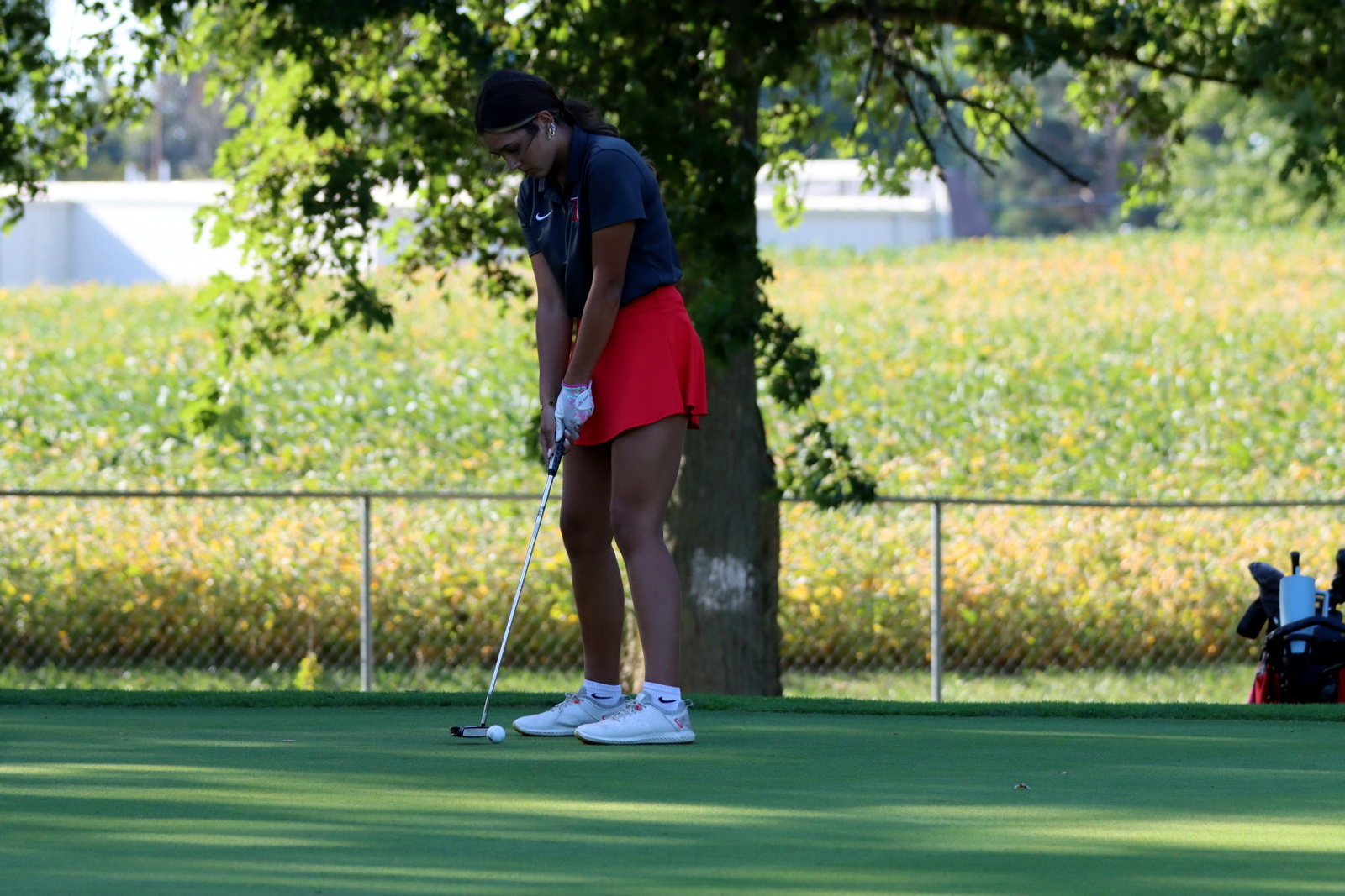 2025-ggolfclyde-1241