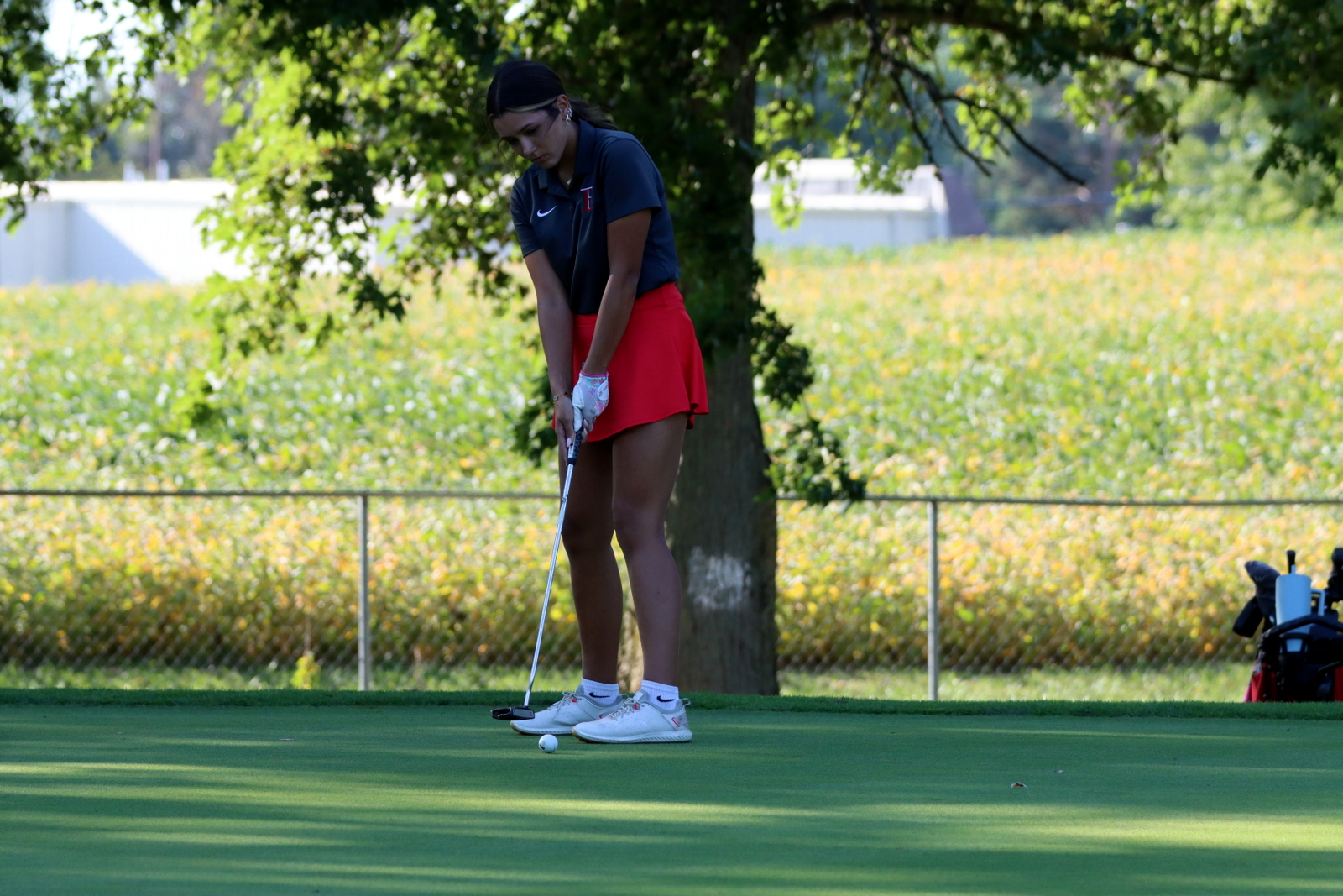 2025-ggolfclyde-1243