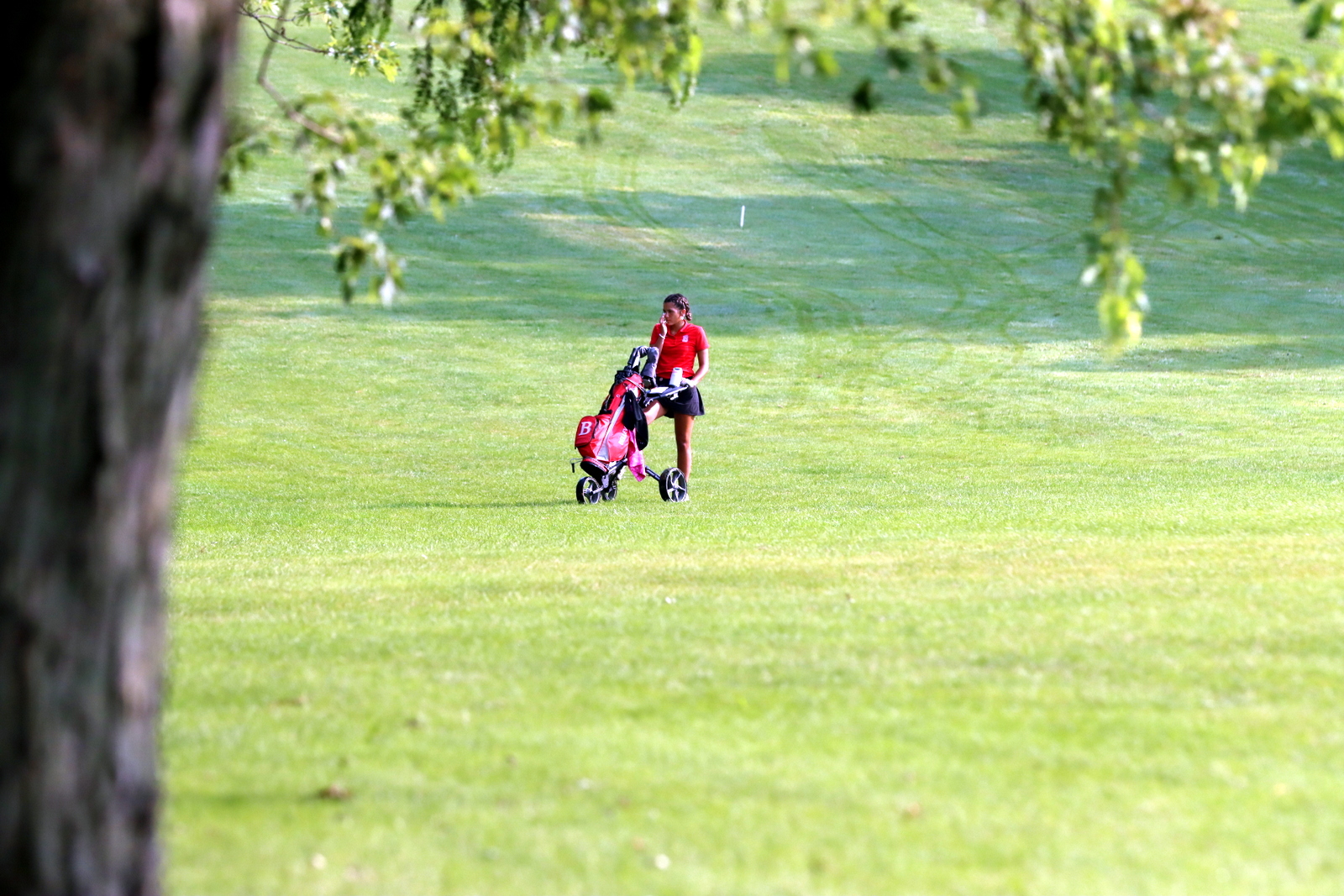 2025-ggolfvermilionstmarys- 0827